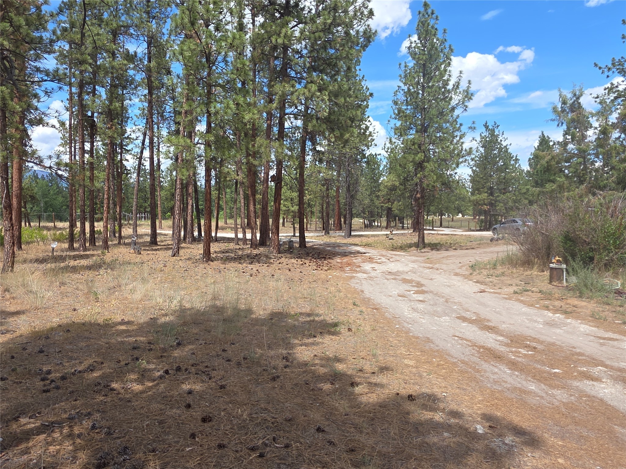 125 Pine Drive Property Photo 7