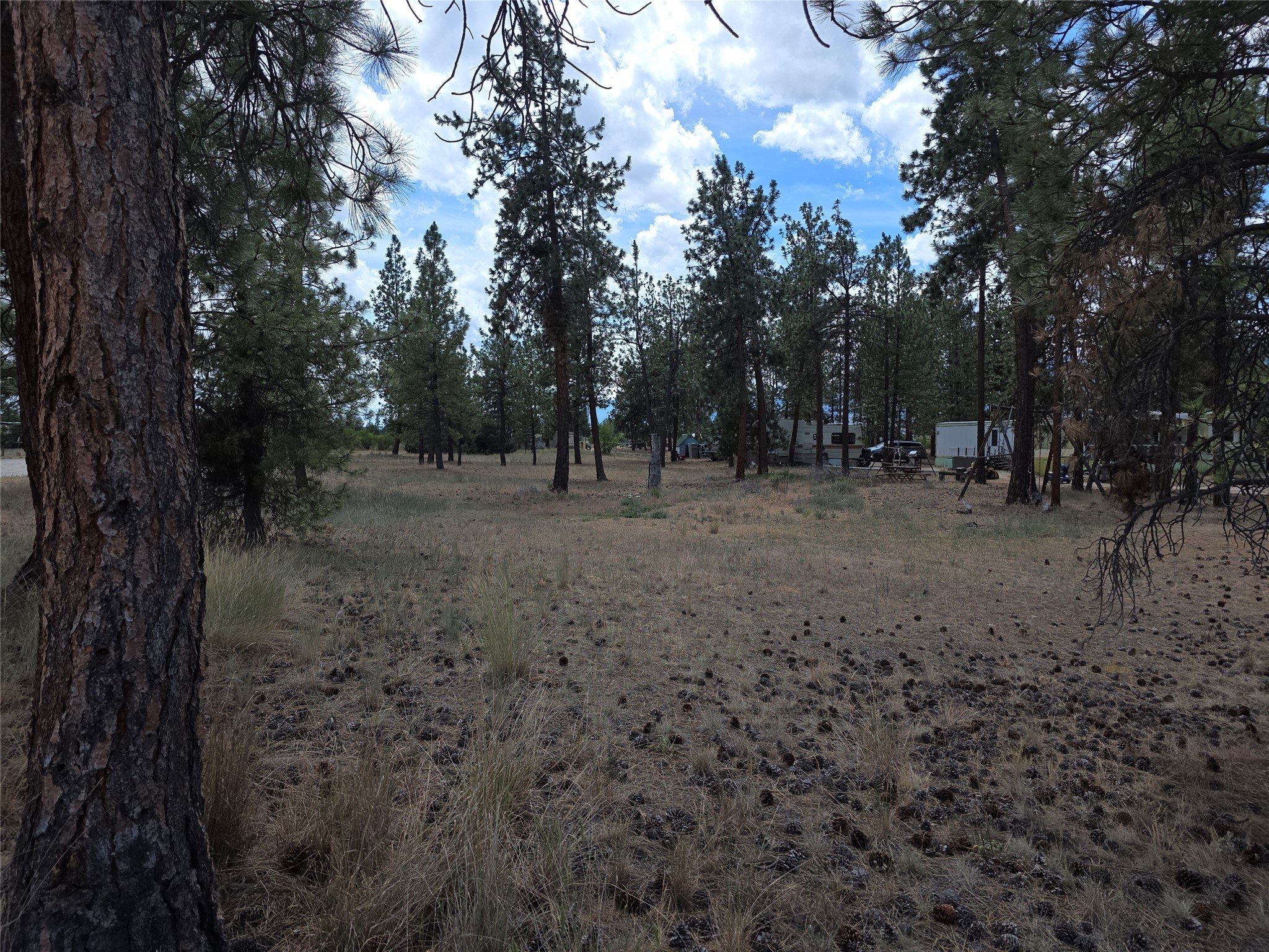 125 Pine Drive Property Photo 13