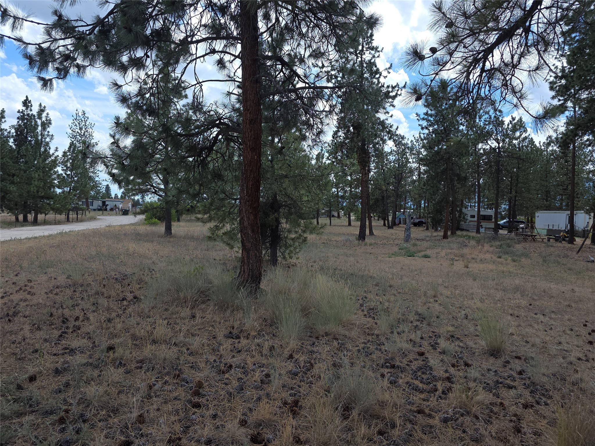 125 Pine Drive Property Photo 14