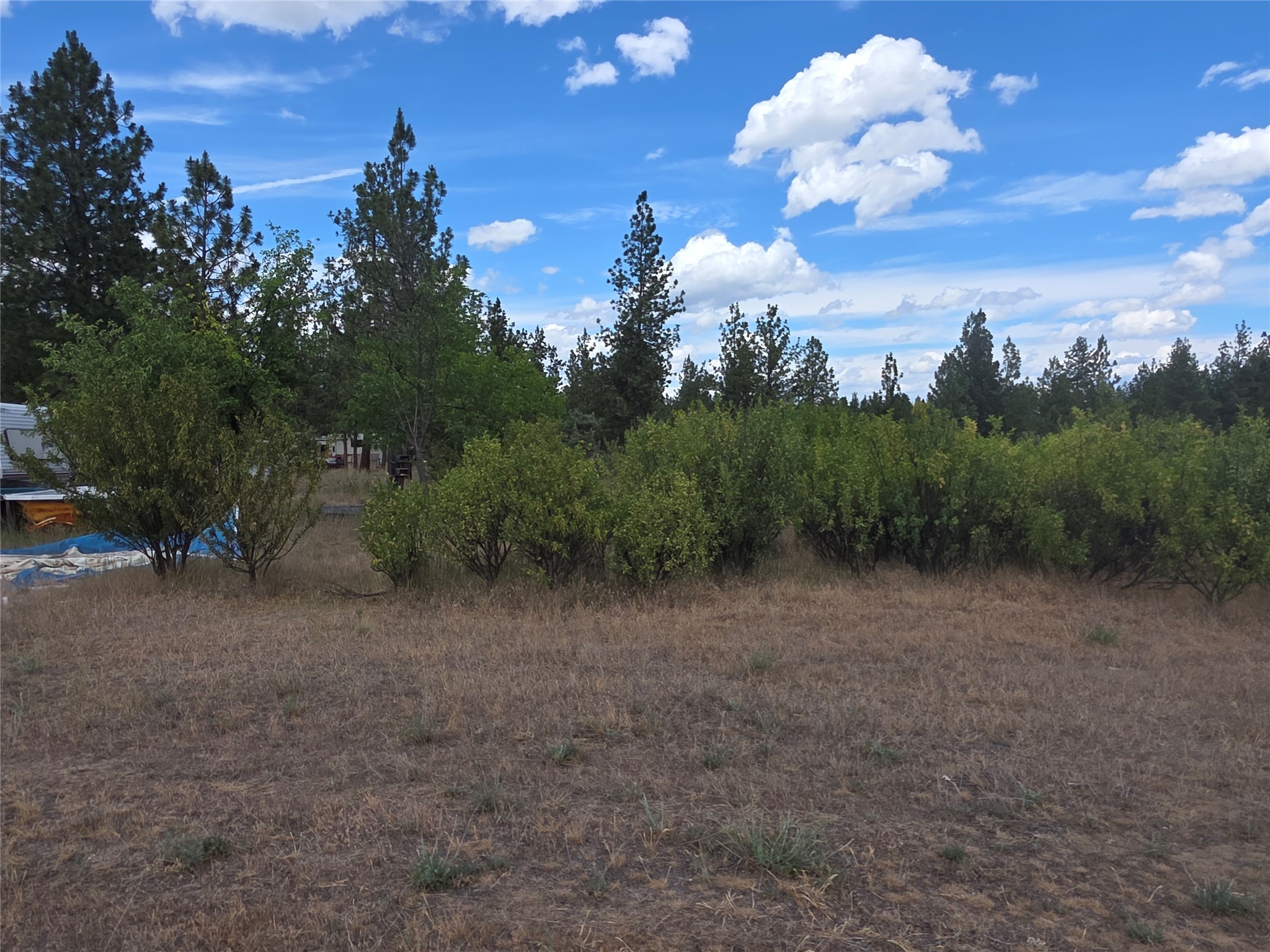 125 Pine Drive Property Photo 16