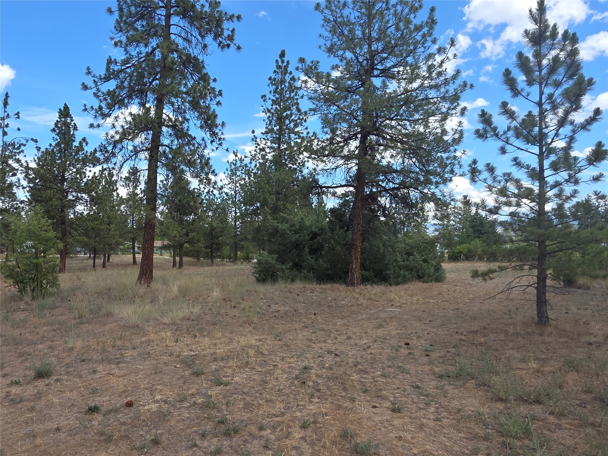 125 Pine Drive Property Photo 17