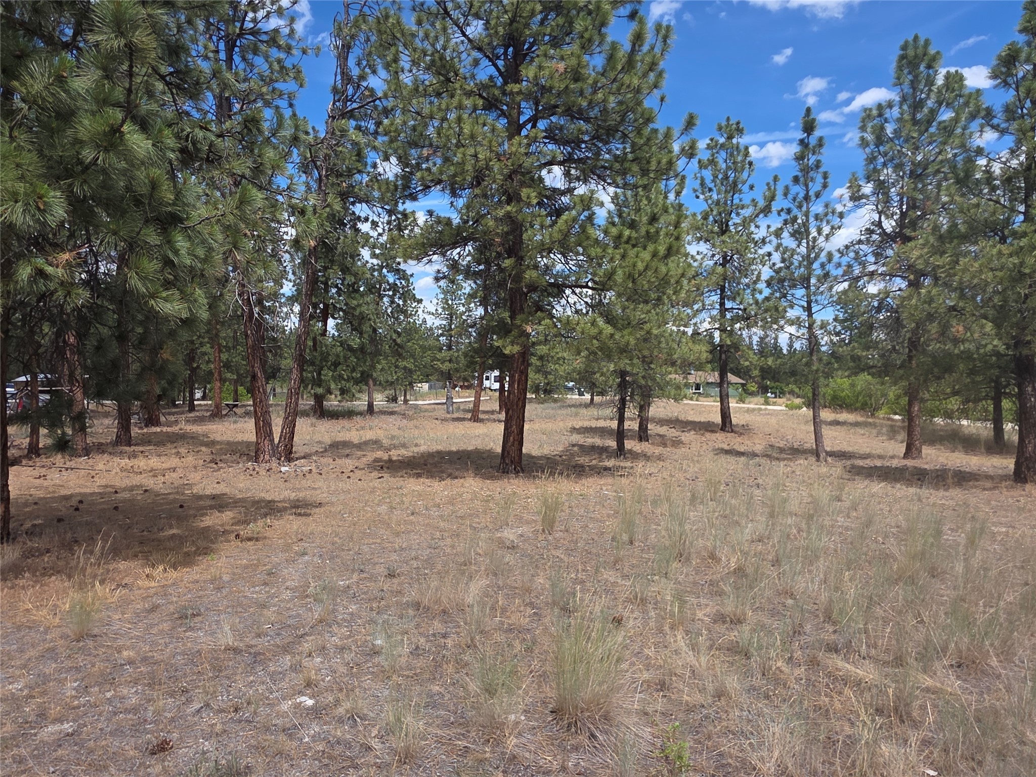 125 Pine Drive Property Photo 18