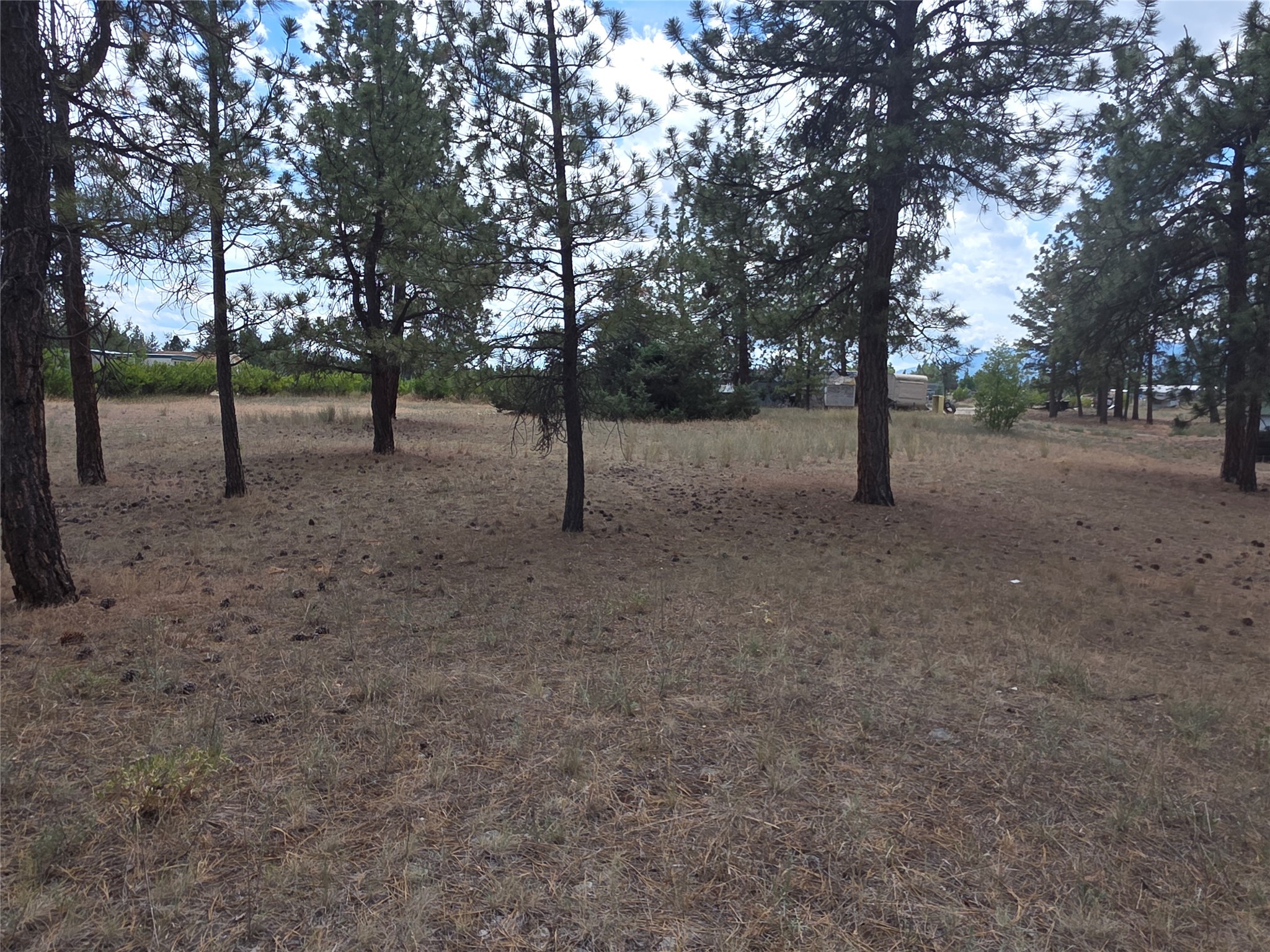 125 Pine Drive Property Photo 19