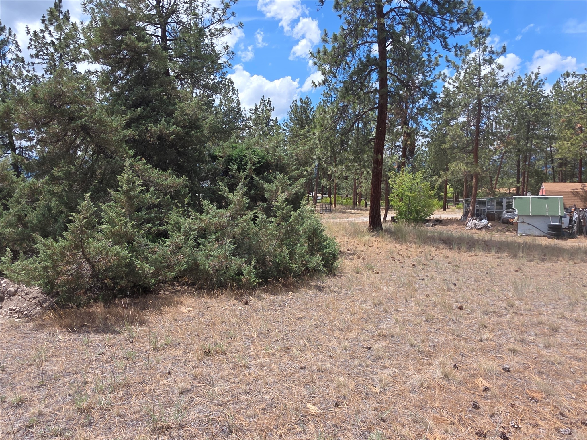 125 Pine Drive Property Photo 20