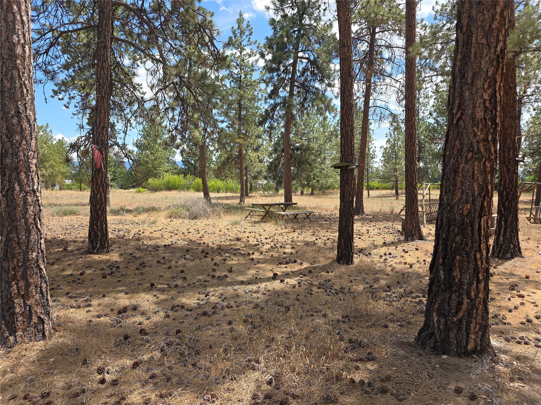 125 Pine Drive Property Photo 21