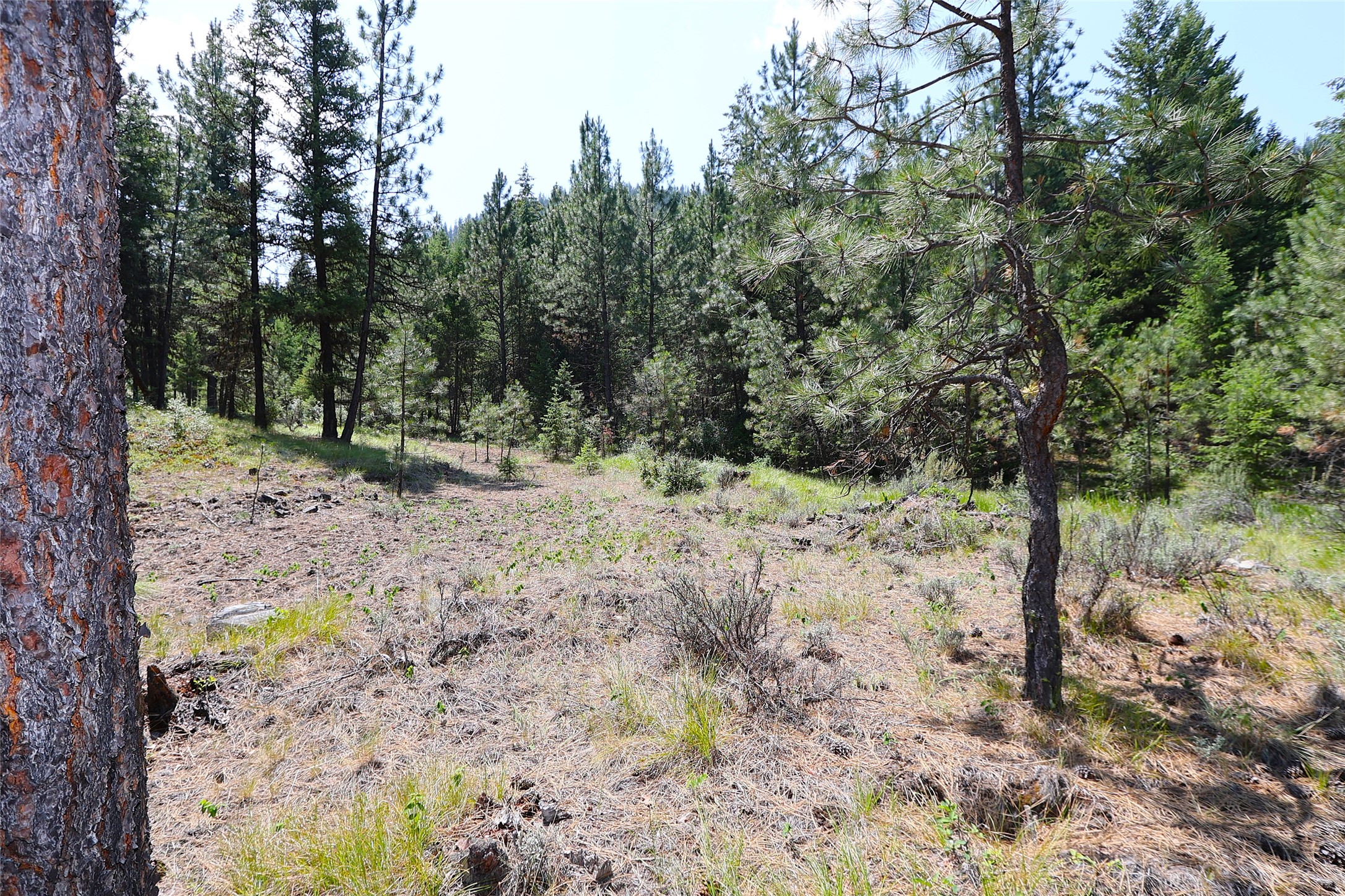 Nhn Heir Loom Way Property Photo 3