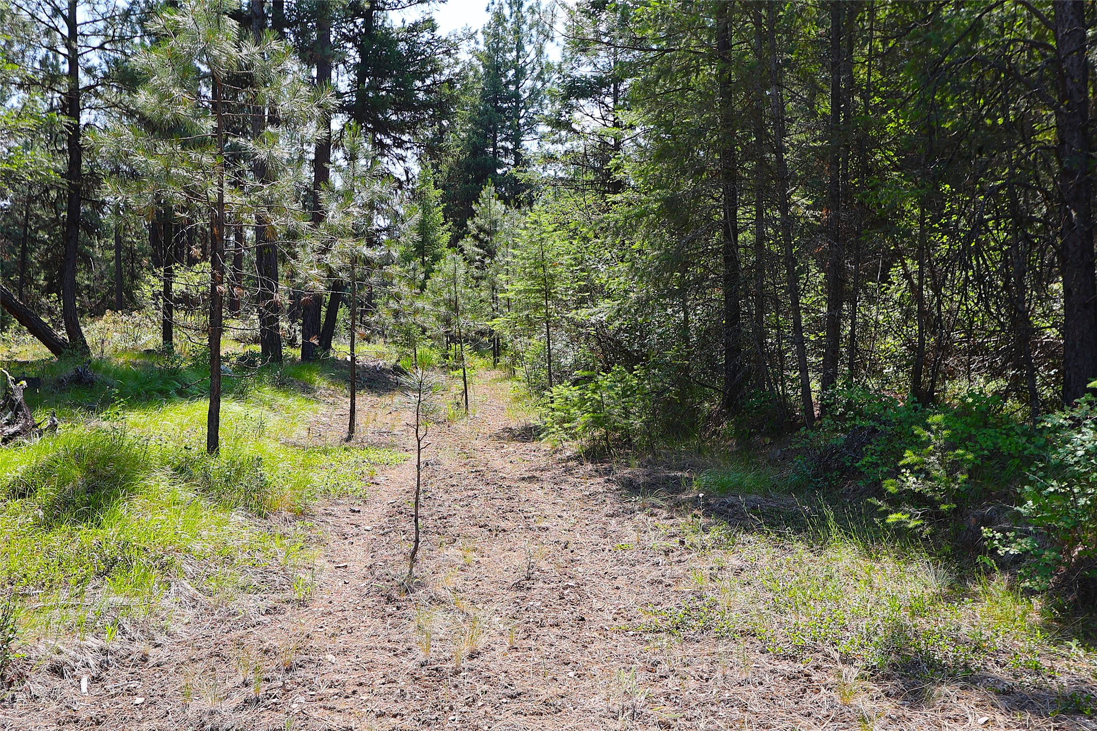 Nhn Heir Loom Way Property Photo 7