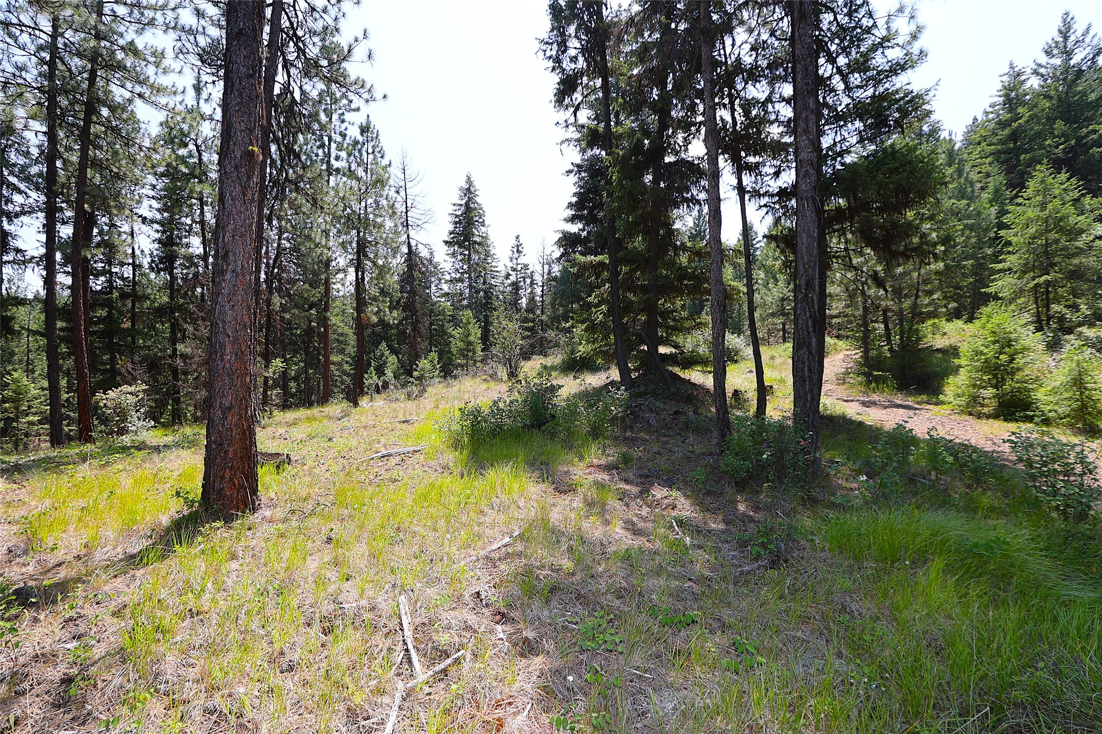 Nhn Heir Loom Way Property Photo 8