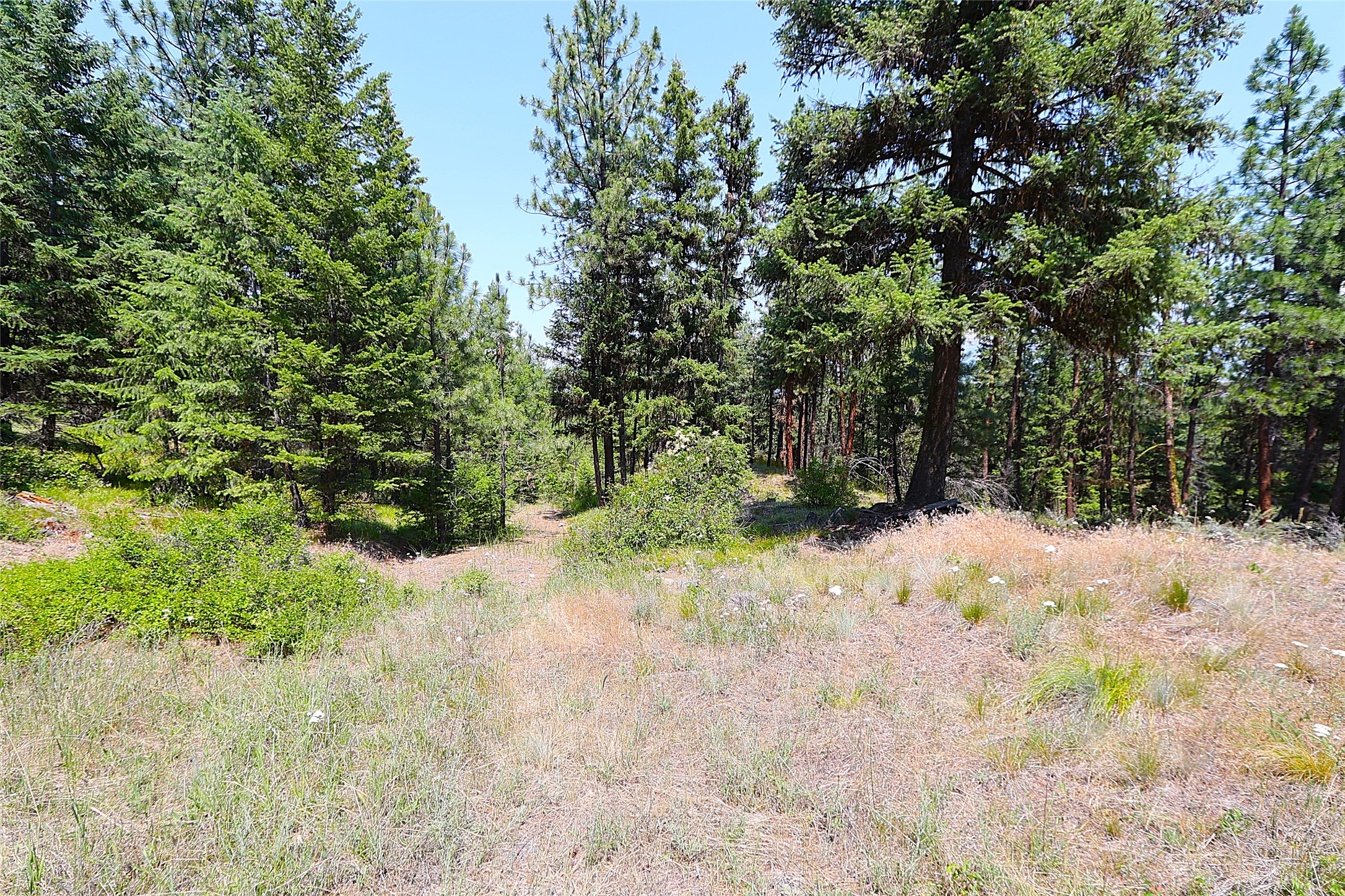 Nhn Heir Loom Way Property Photo 10
