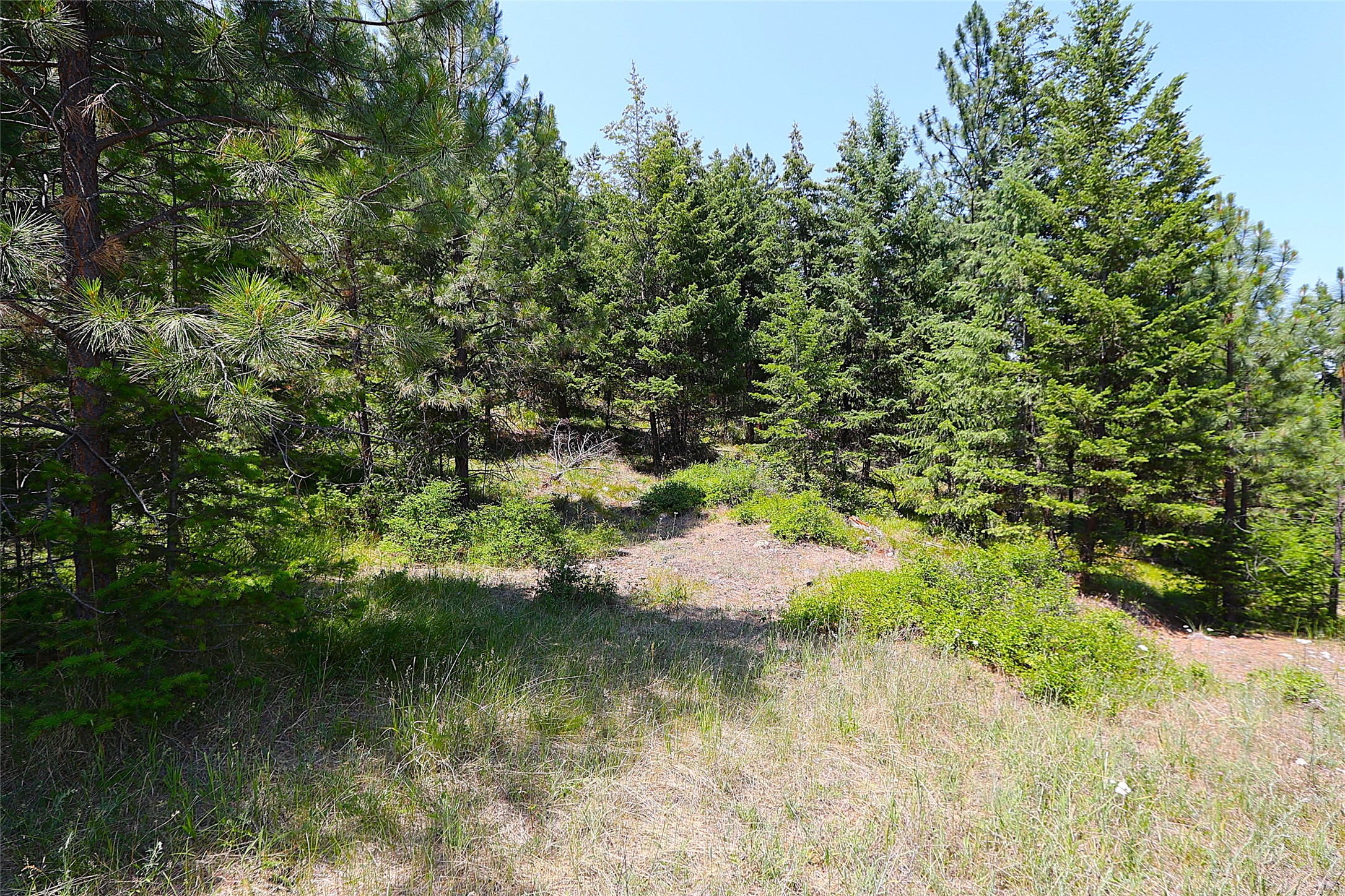 Nhn Heir Loom Way Property Photo 11
