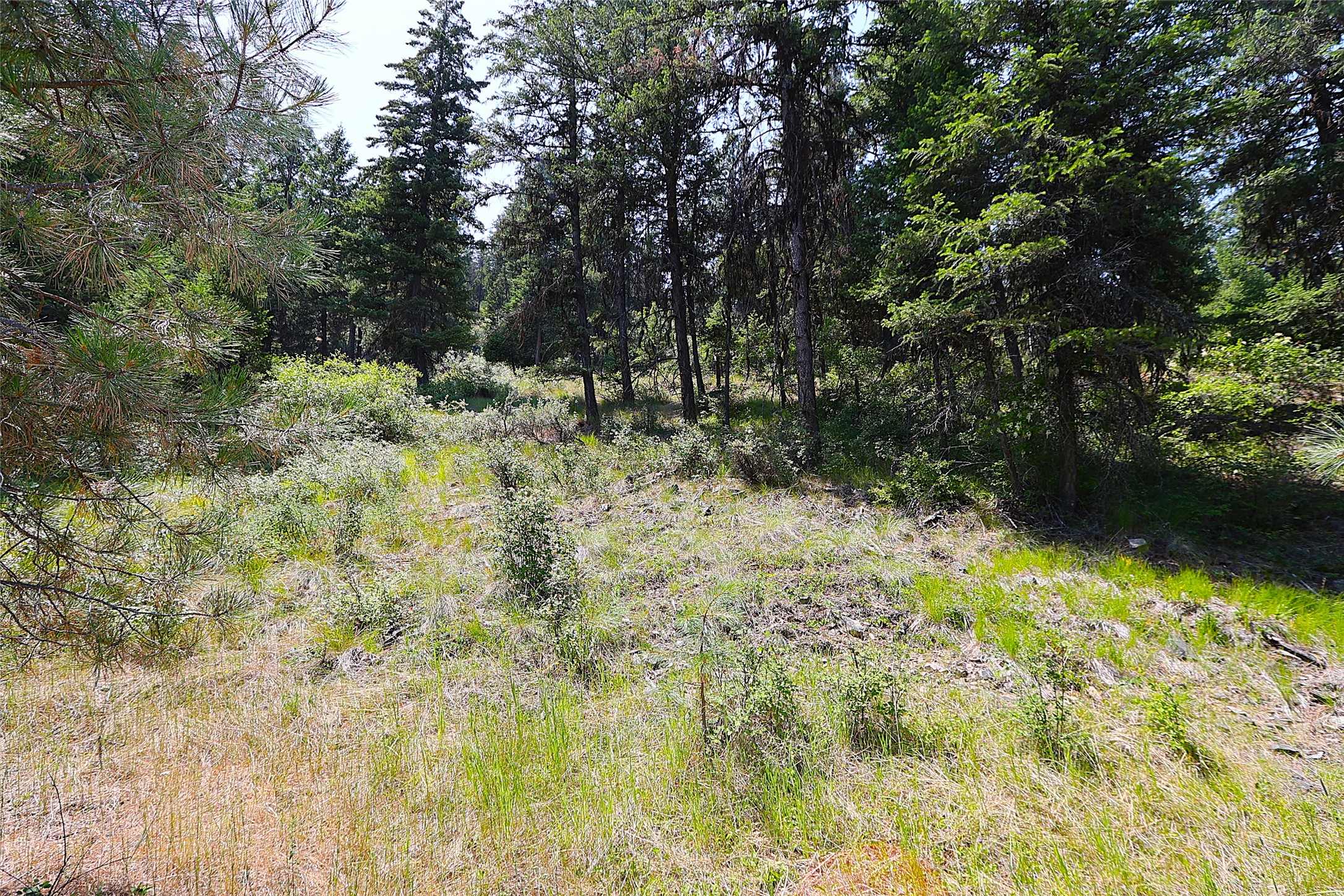 Nhn Heir Loom Way Property Photo 12