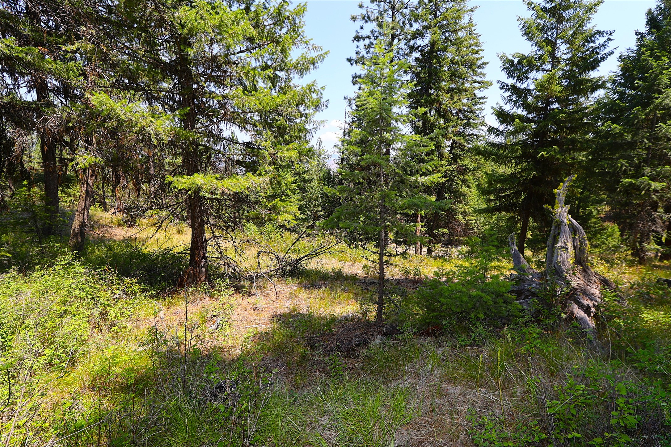 Nhn Heir Loom Way Property Photo 13