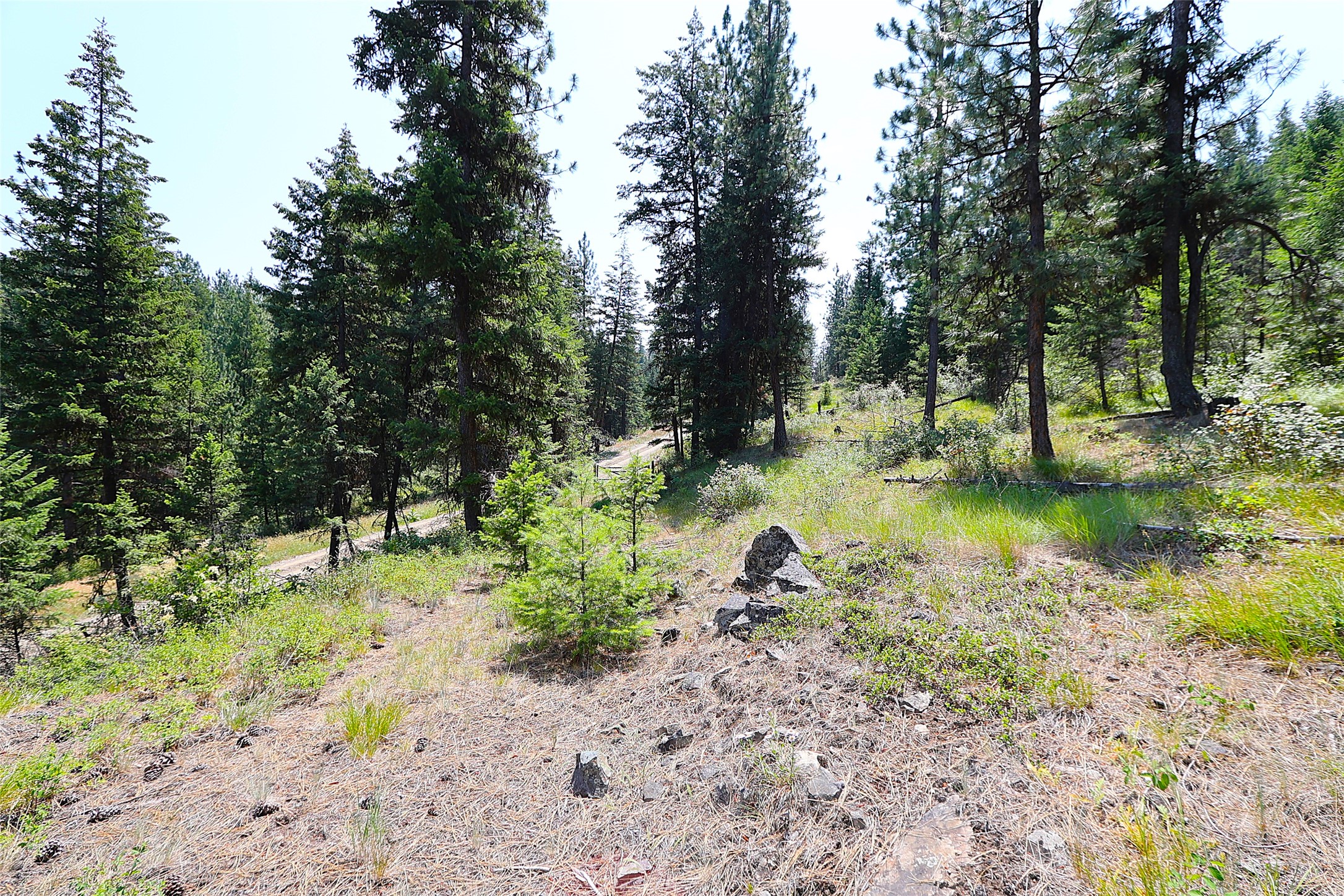 Nhn Heir Loom Way Property Photo 14
