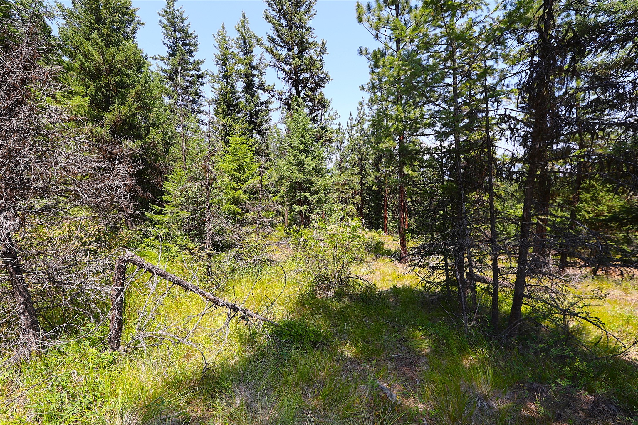 Nhn Heir Loom Way Property Photo 17