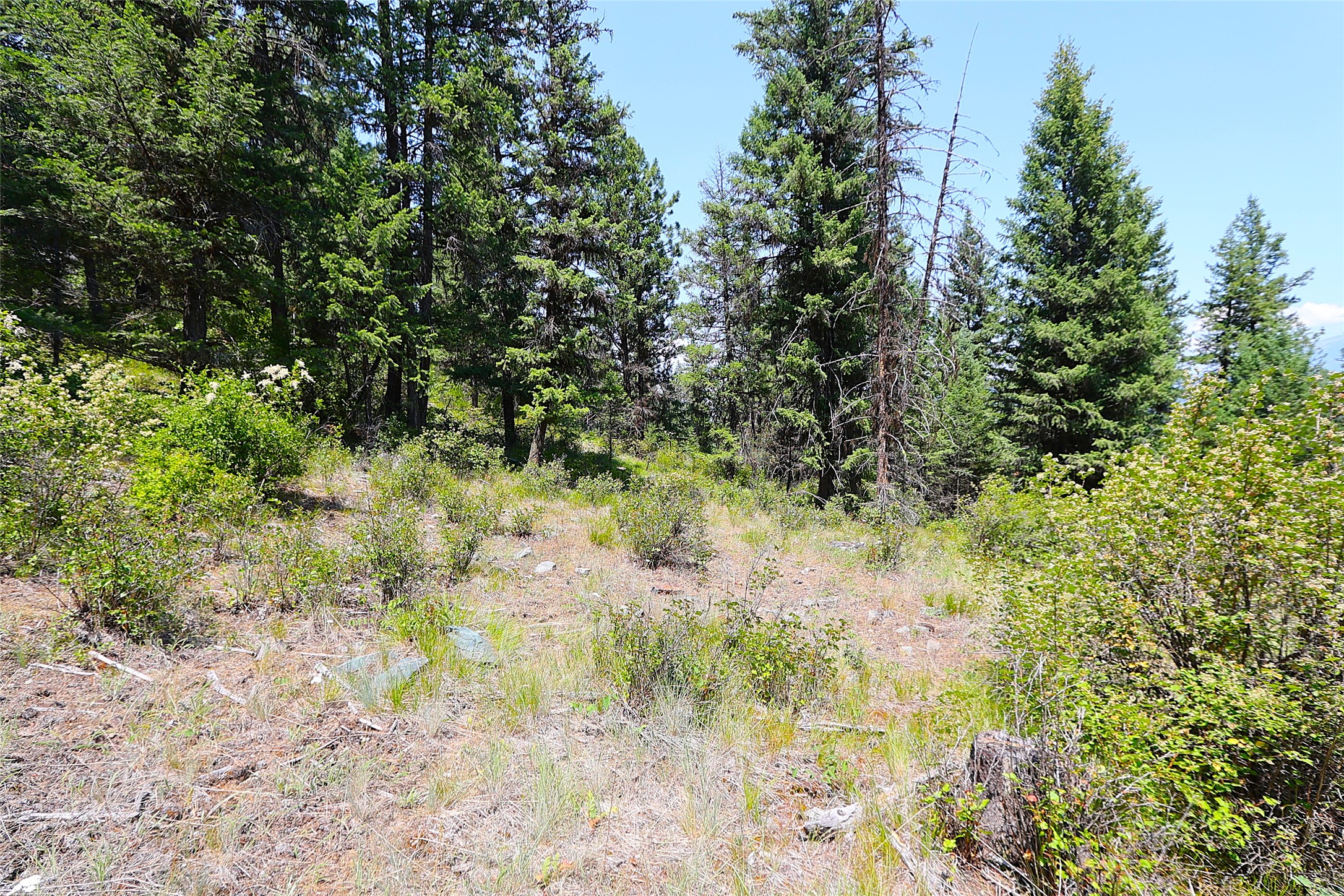 Nhn Heir Loom Way Property Photo 18