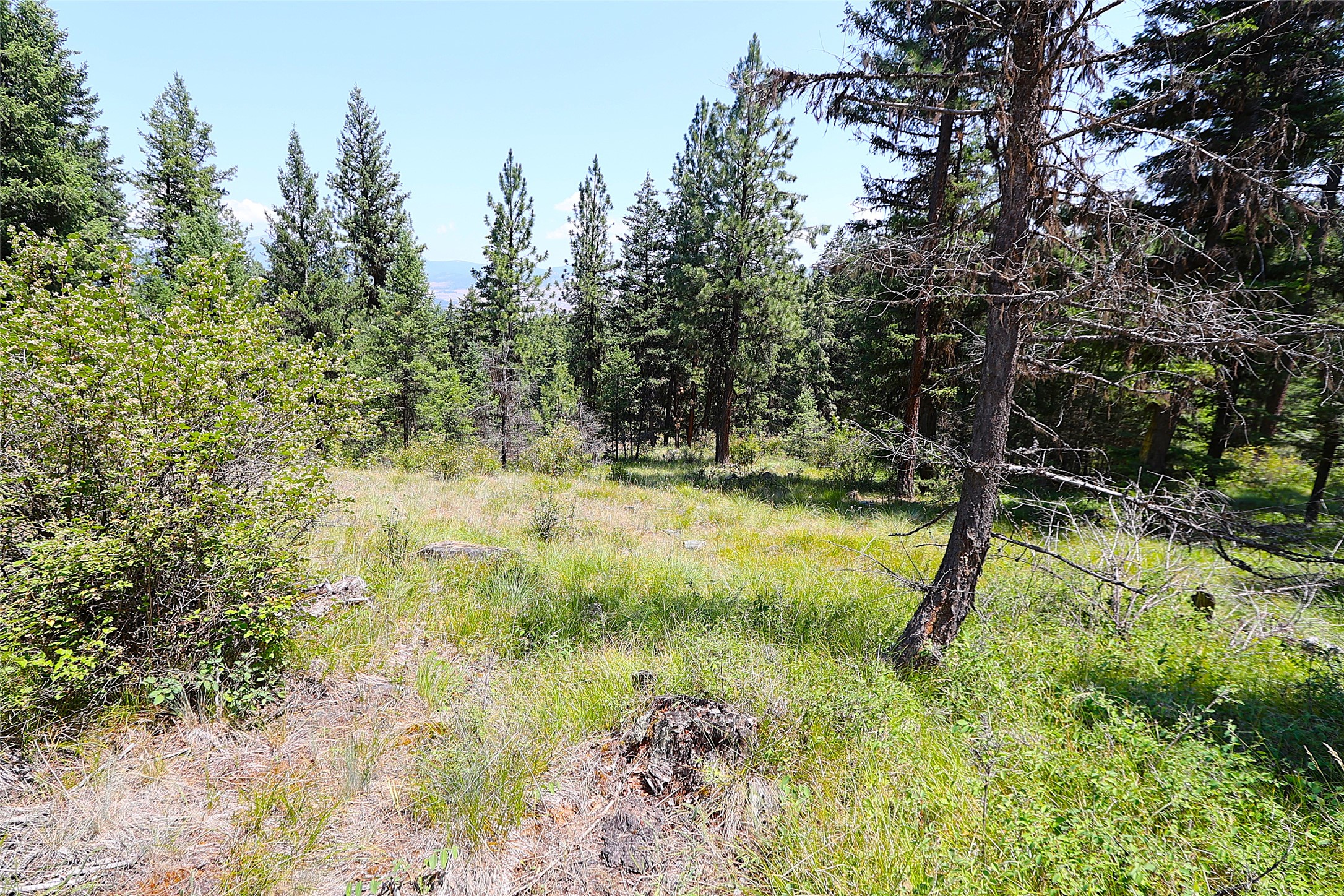 Nhn Heir Loom Way Property Photo 19
