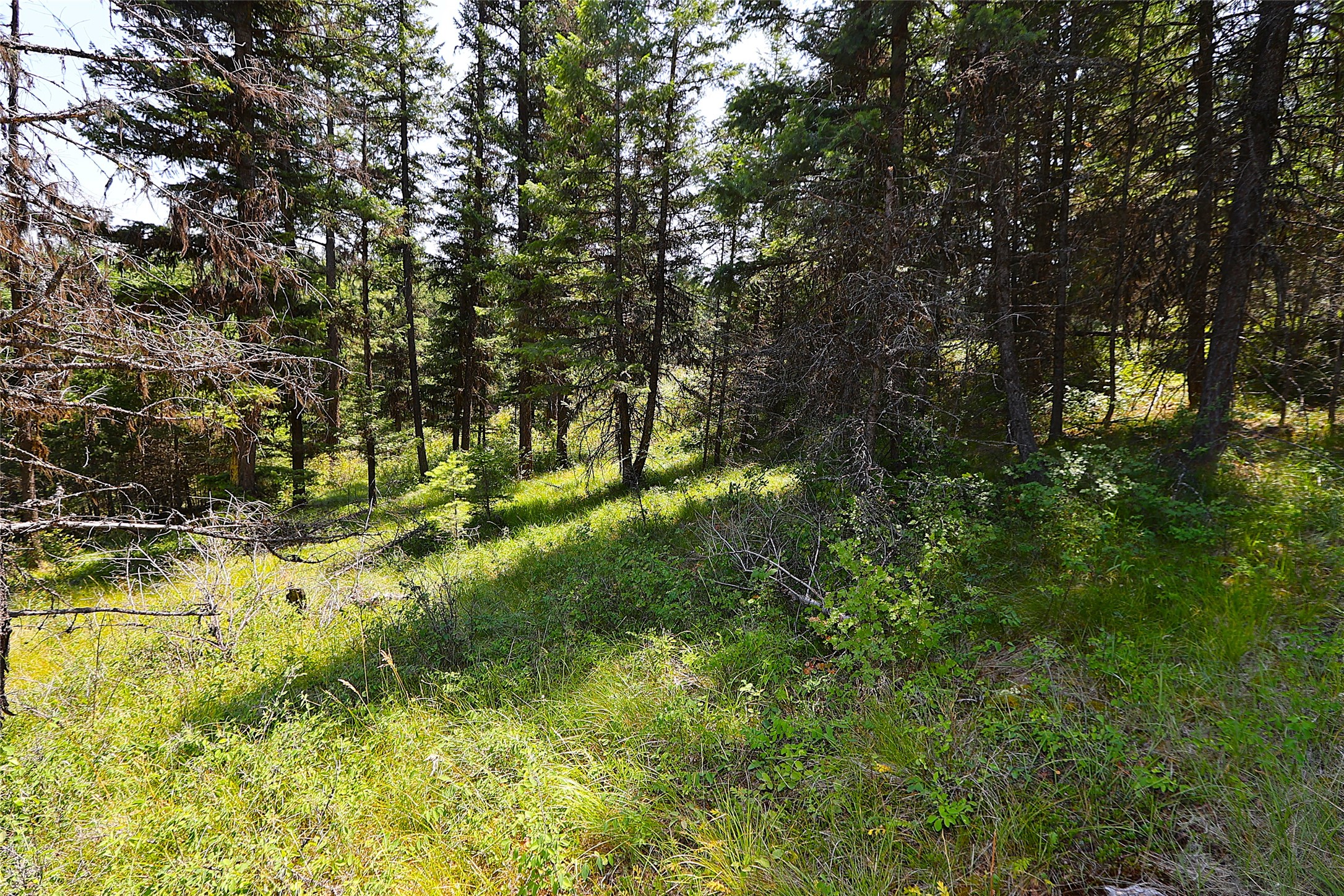 Nhn Heir Loom Way Property Photo 20
