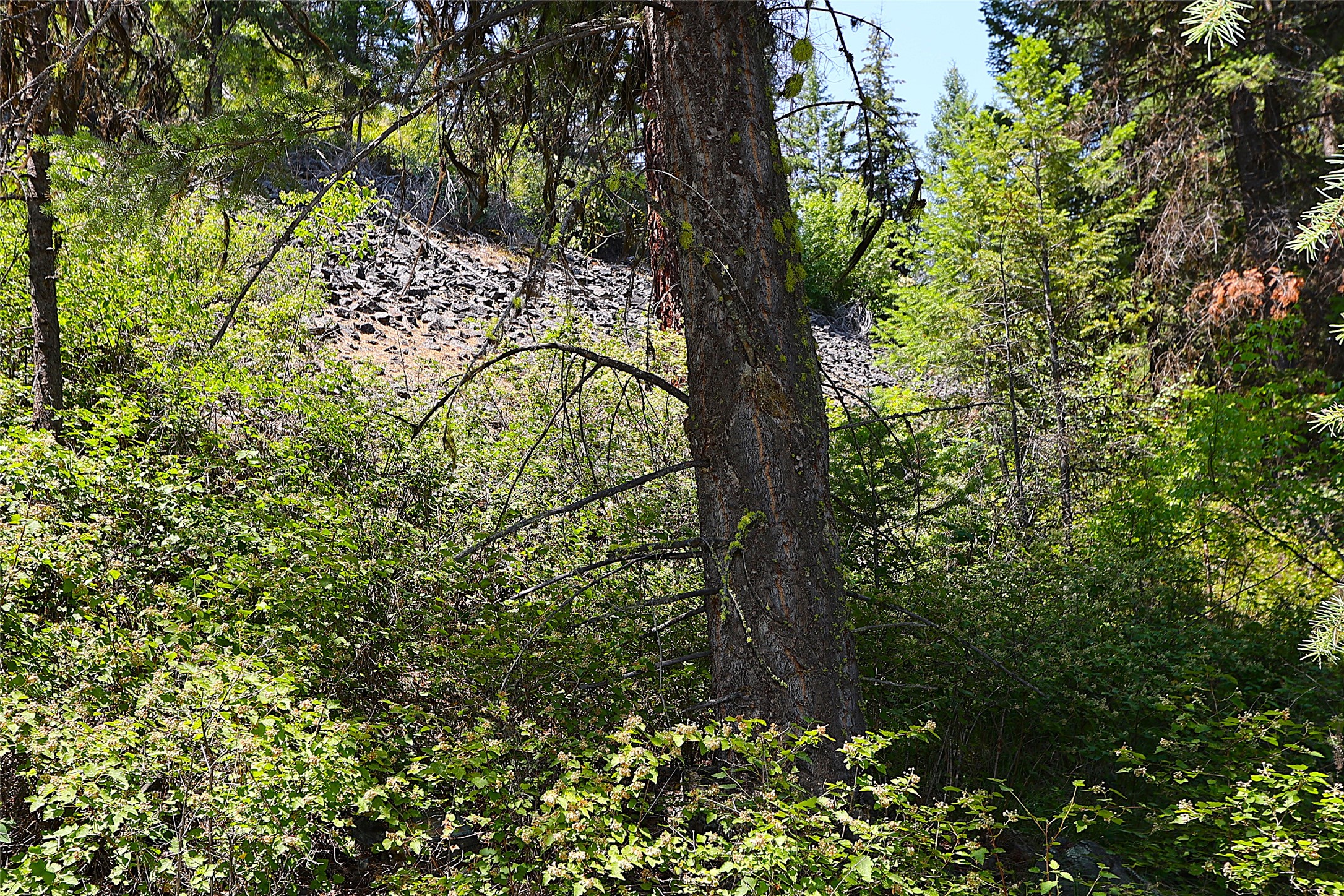 Nhn Heir Loom Way Property Photo 22