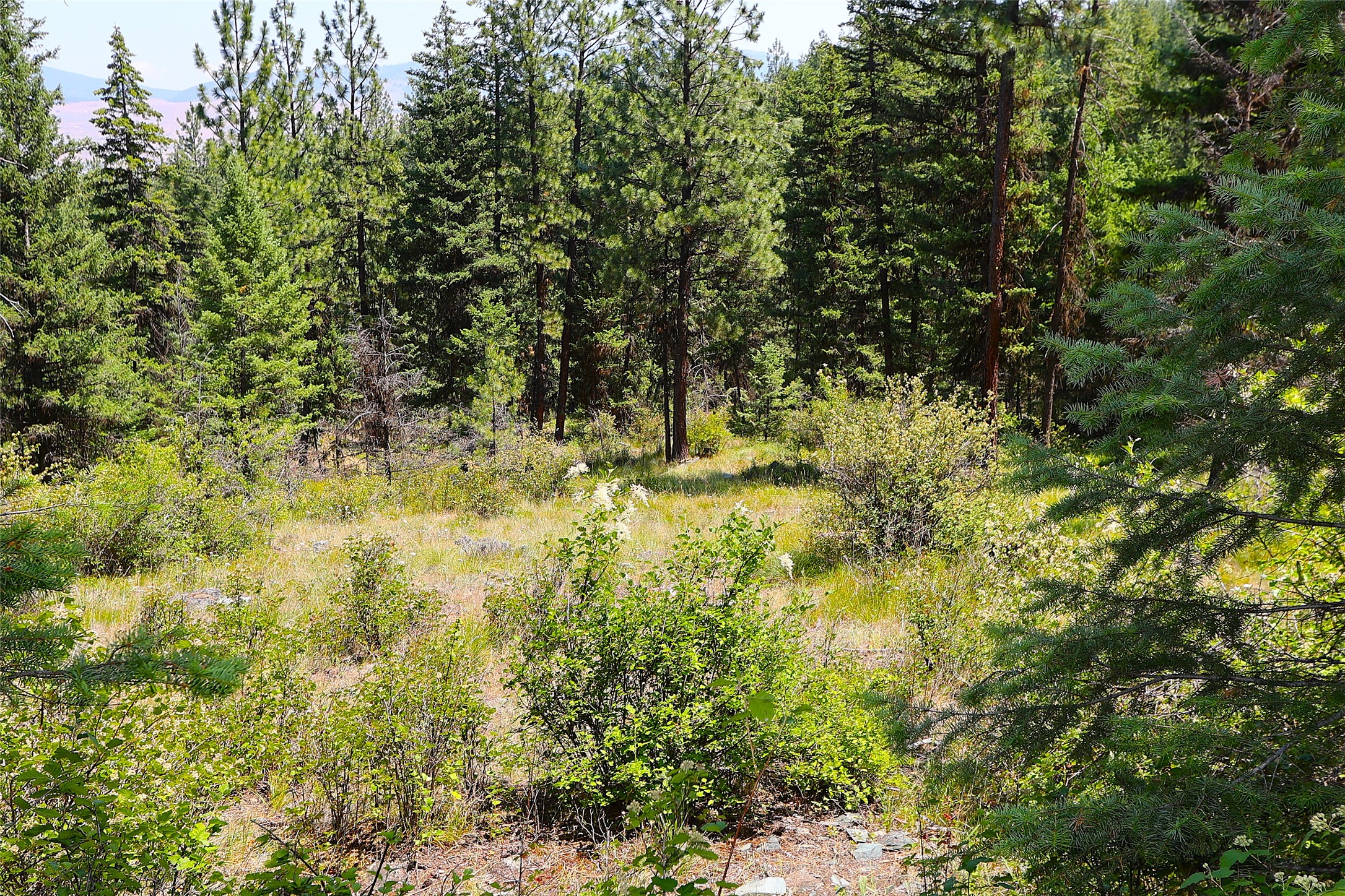 Nhn Heir Loom Way Property Photo 23
