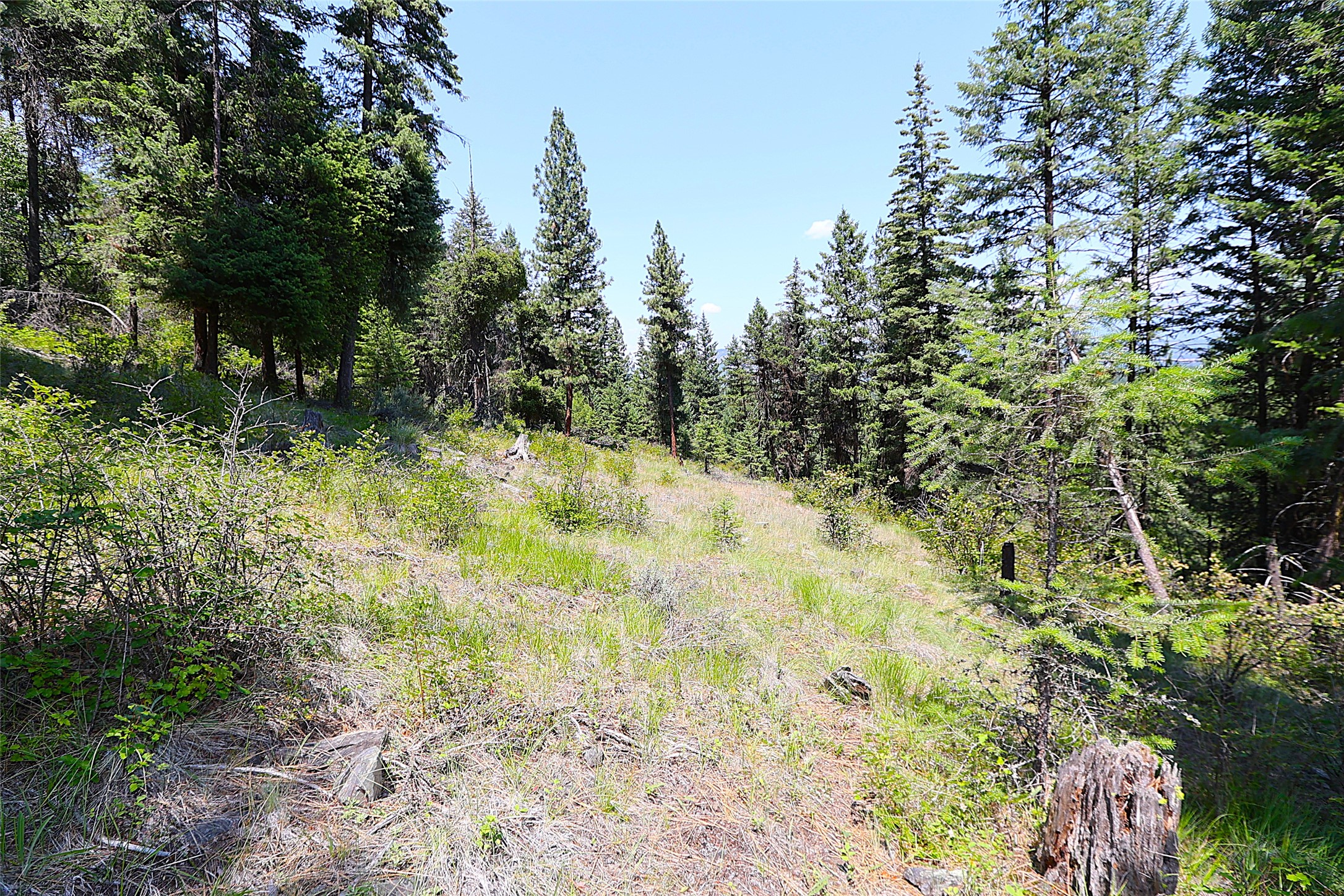Nhn Heir Loom Way Property Photo 25