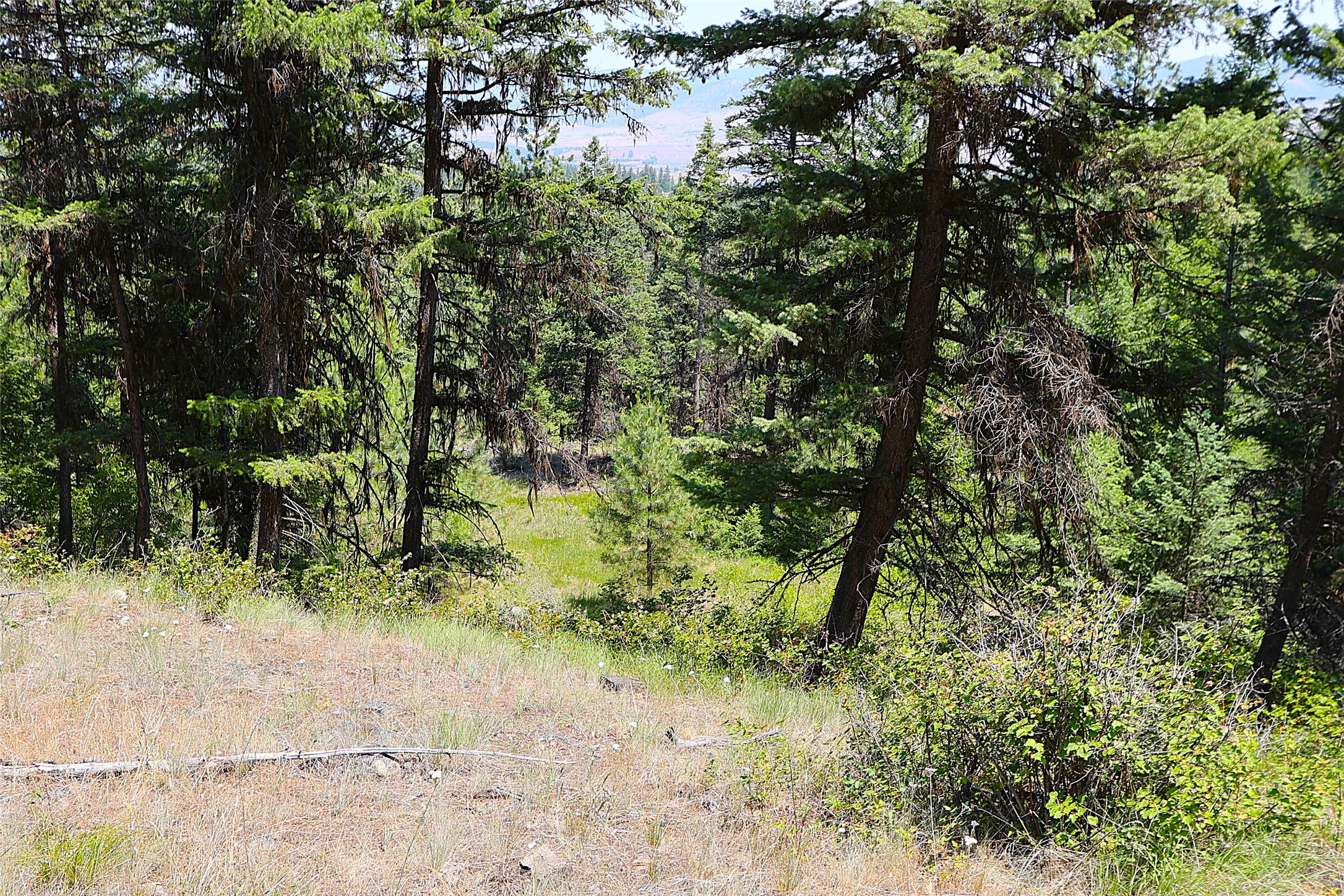 Nhn Heir Loom Way Property Photo 26