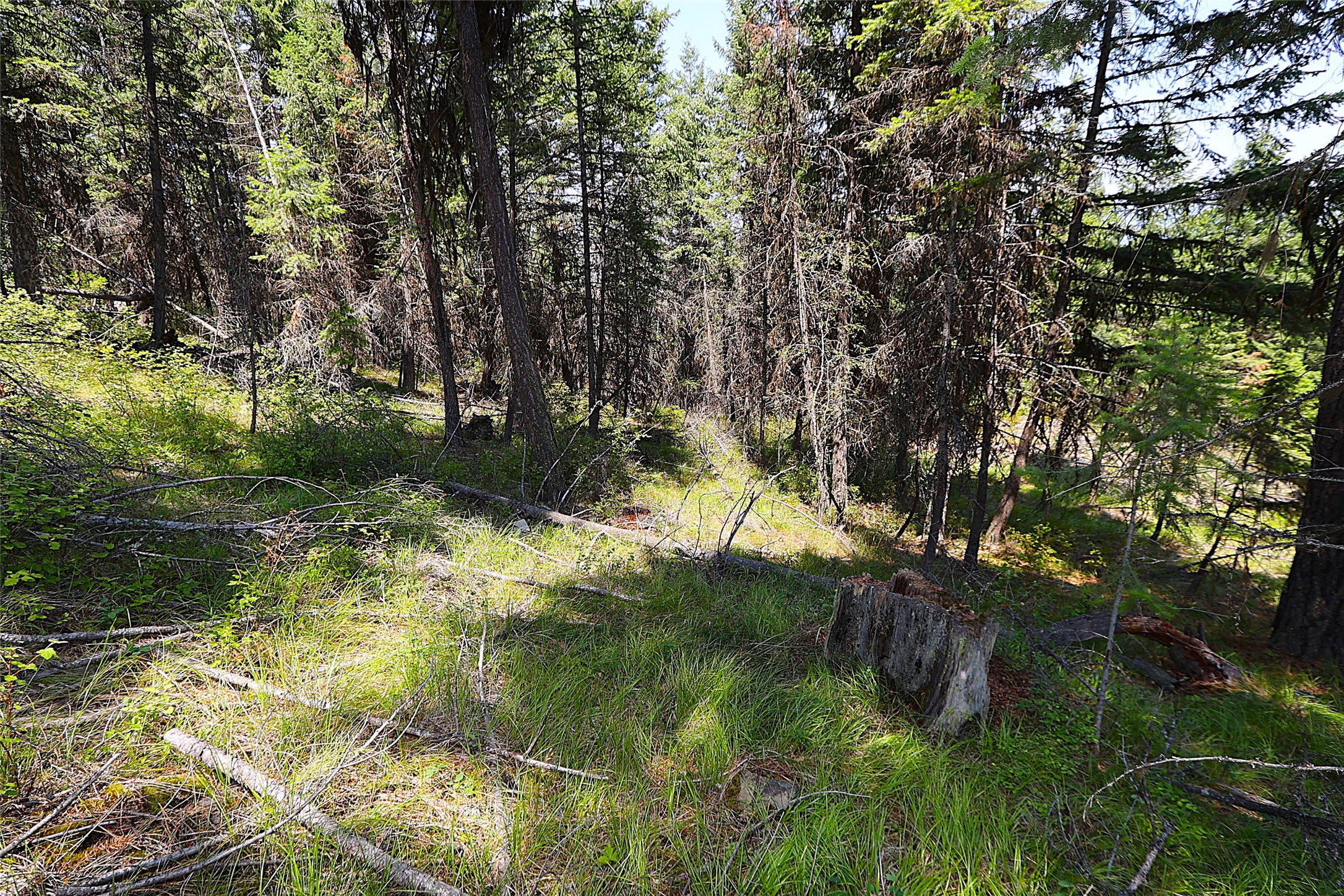 Nhn Heir Loom Way Property Photo 27