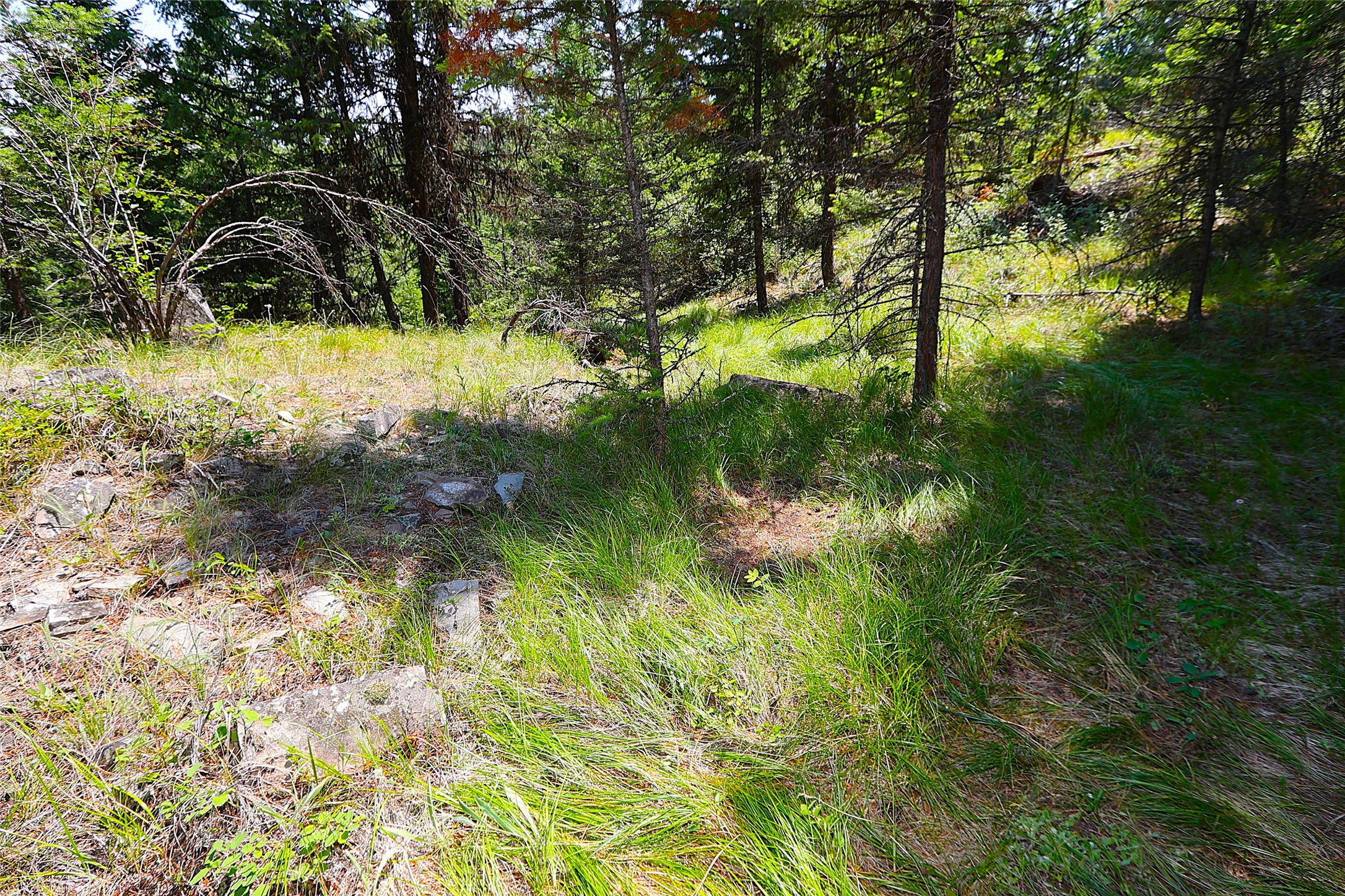 Nhn Heir Loom Way Property Photo 28