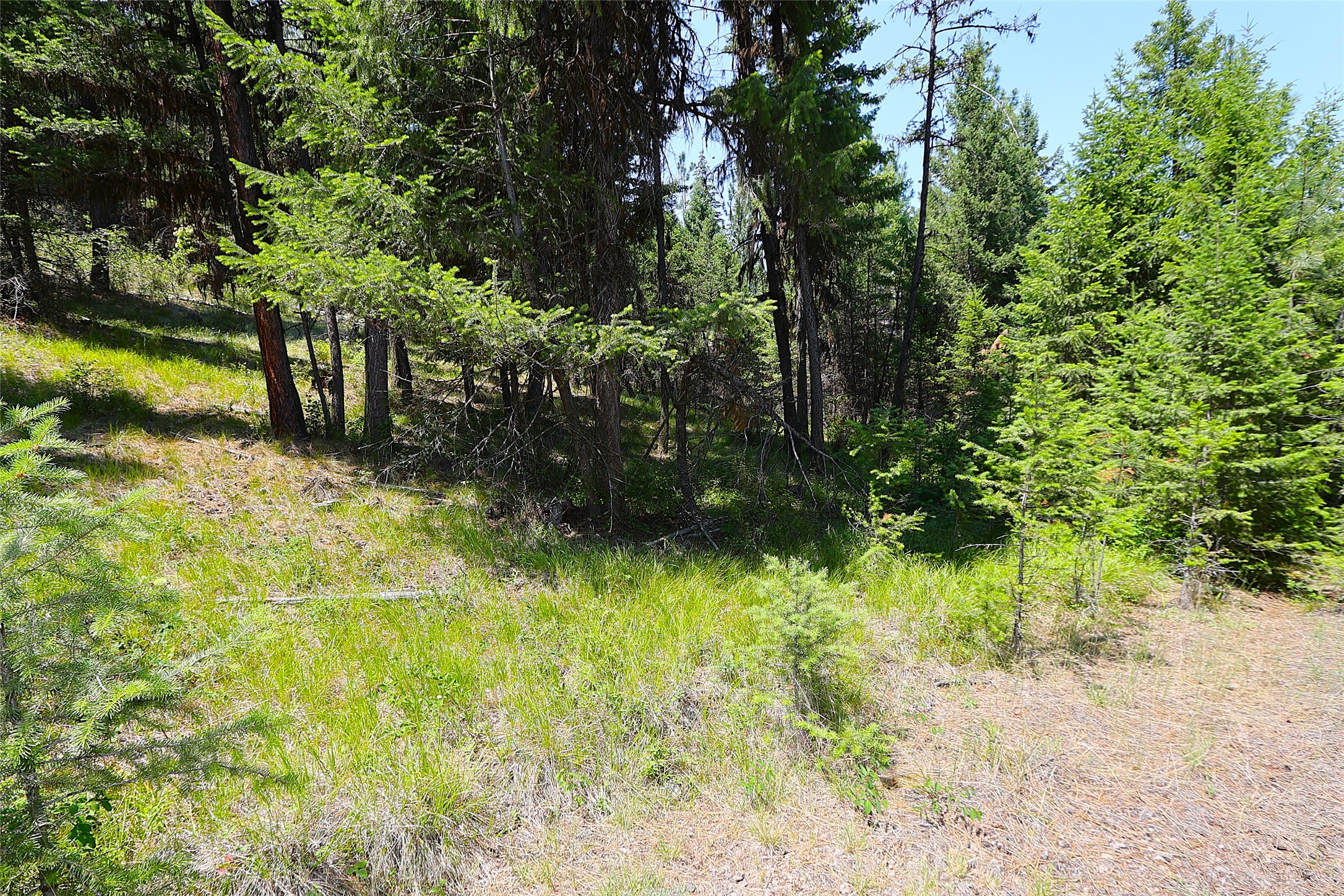 Nhn Heir Loom Way Property Photo 34