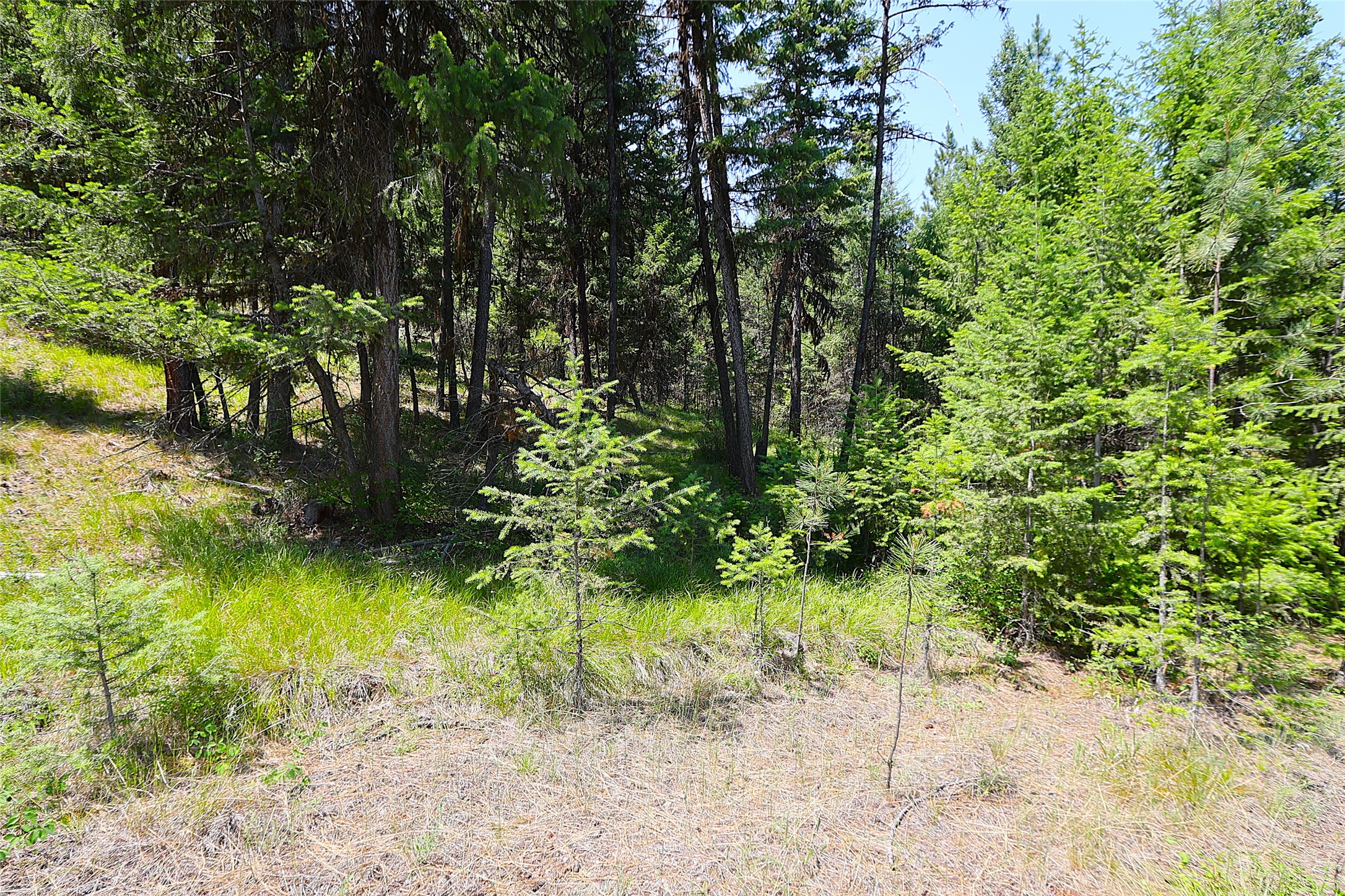 Nhn Heir Loom Way Property Photo 35