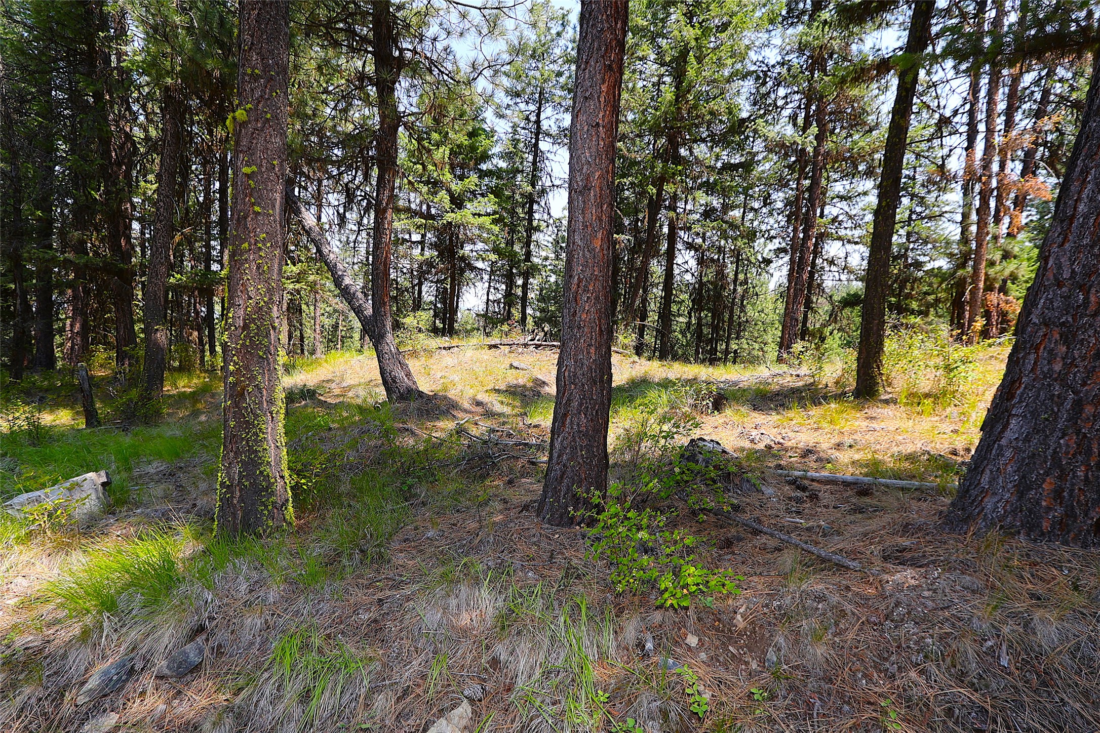 Nhn Heir Loom Way Property Photo 37