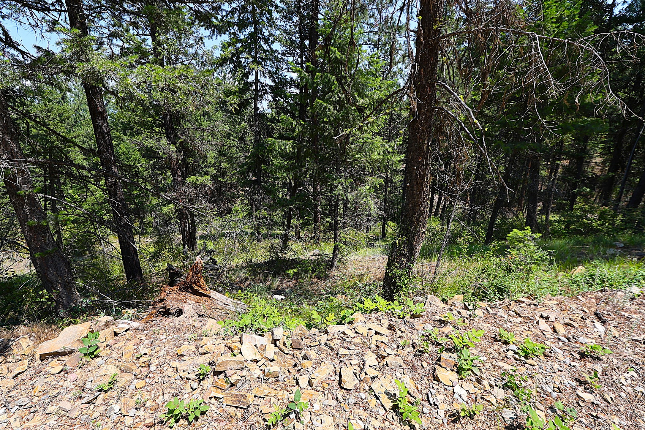 Nhn Heir Loom Way Property Photo 38