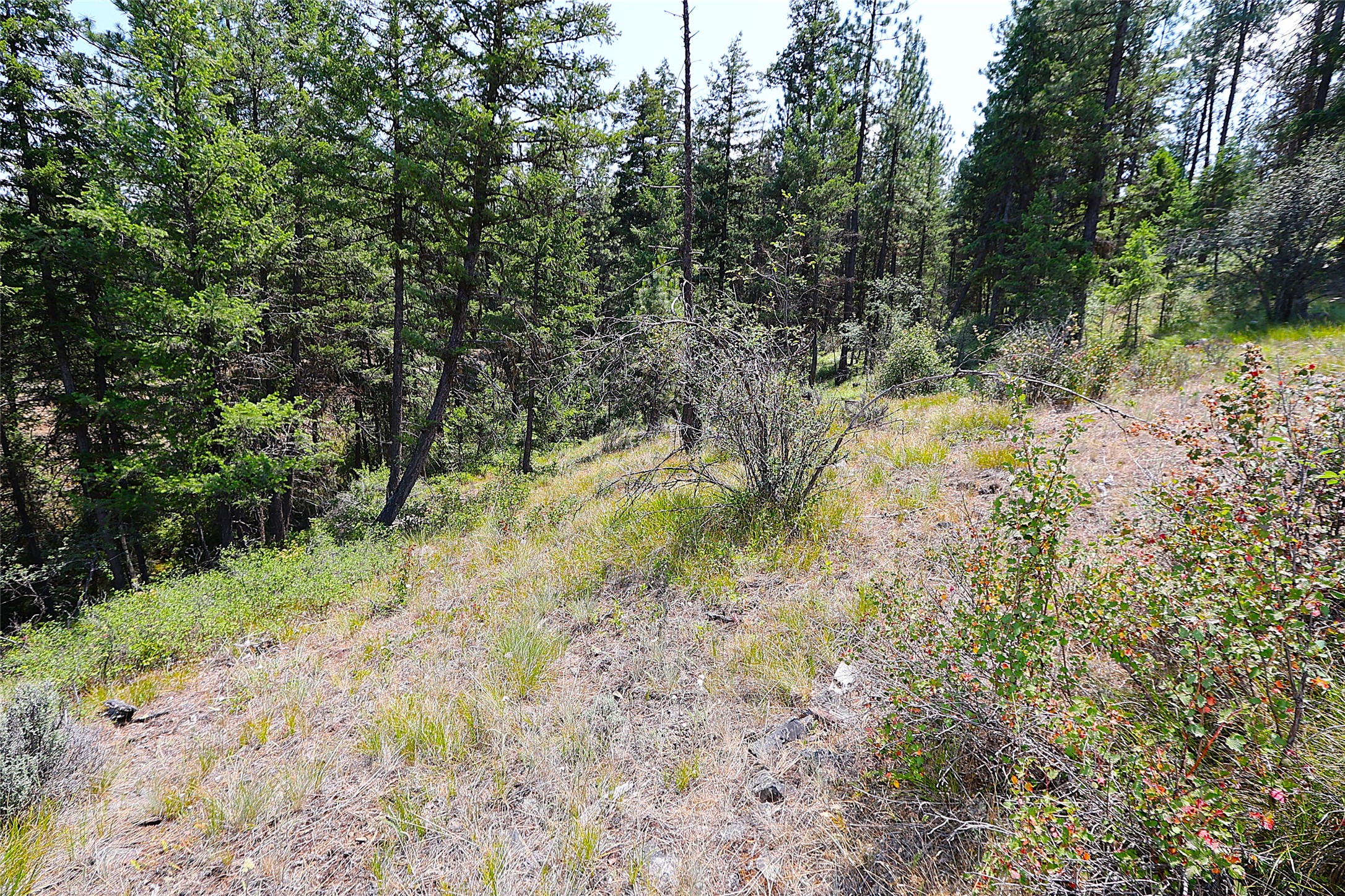 Nhn Heir Loom Way Property Photo 40