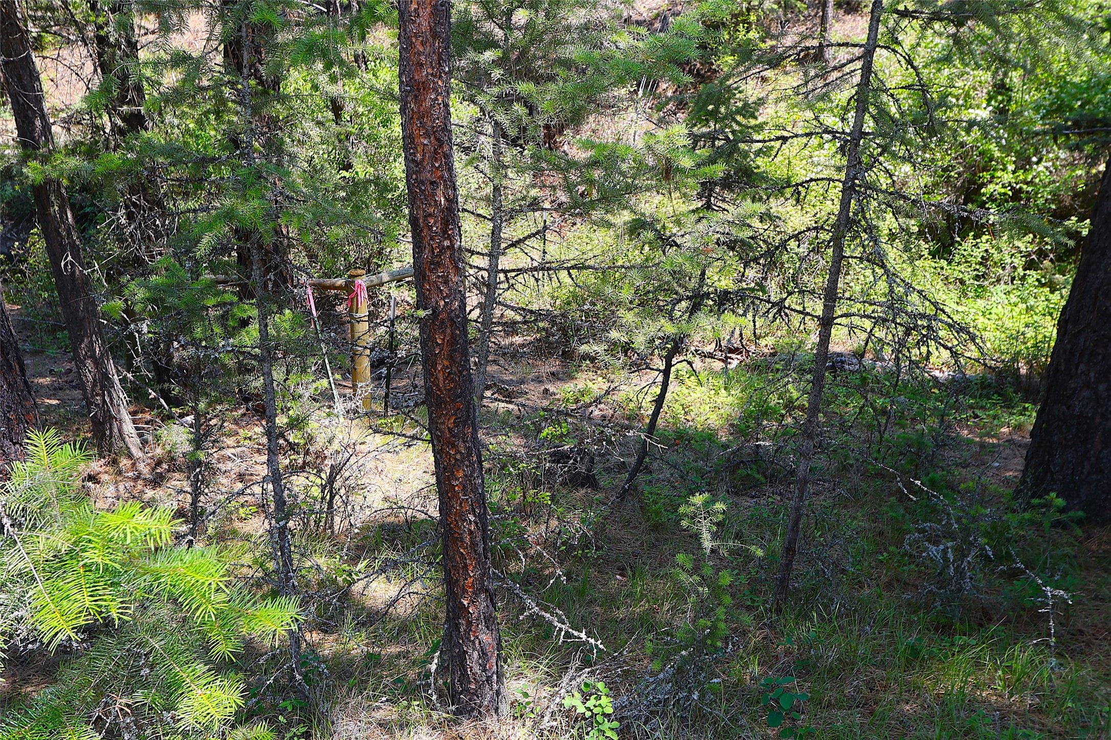 Nhn Heir Loom Way Property Photo 43
