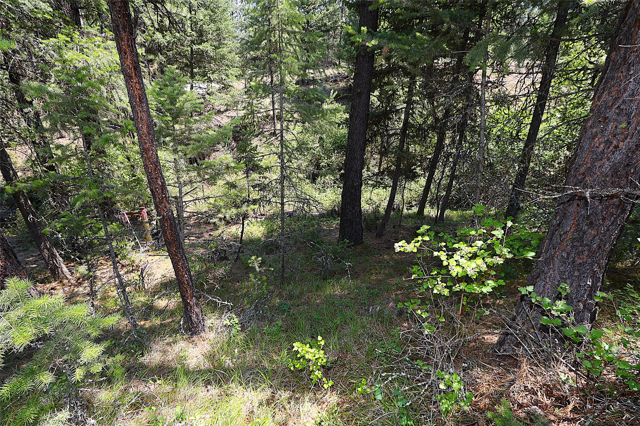 Nhn Heir Loom Way Property Photo 44