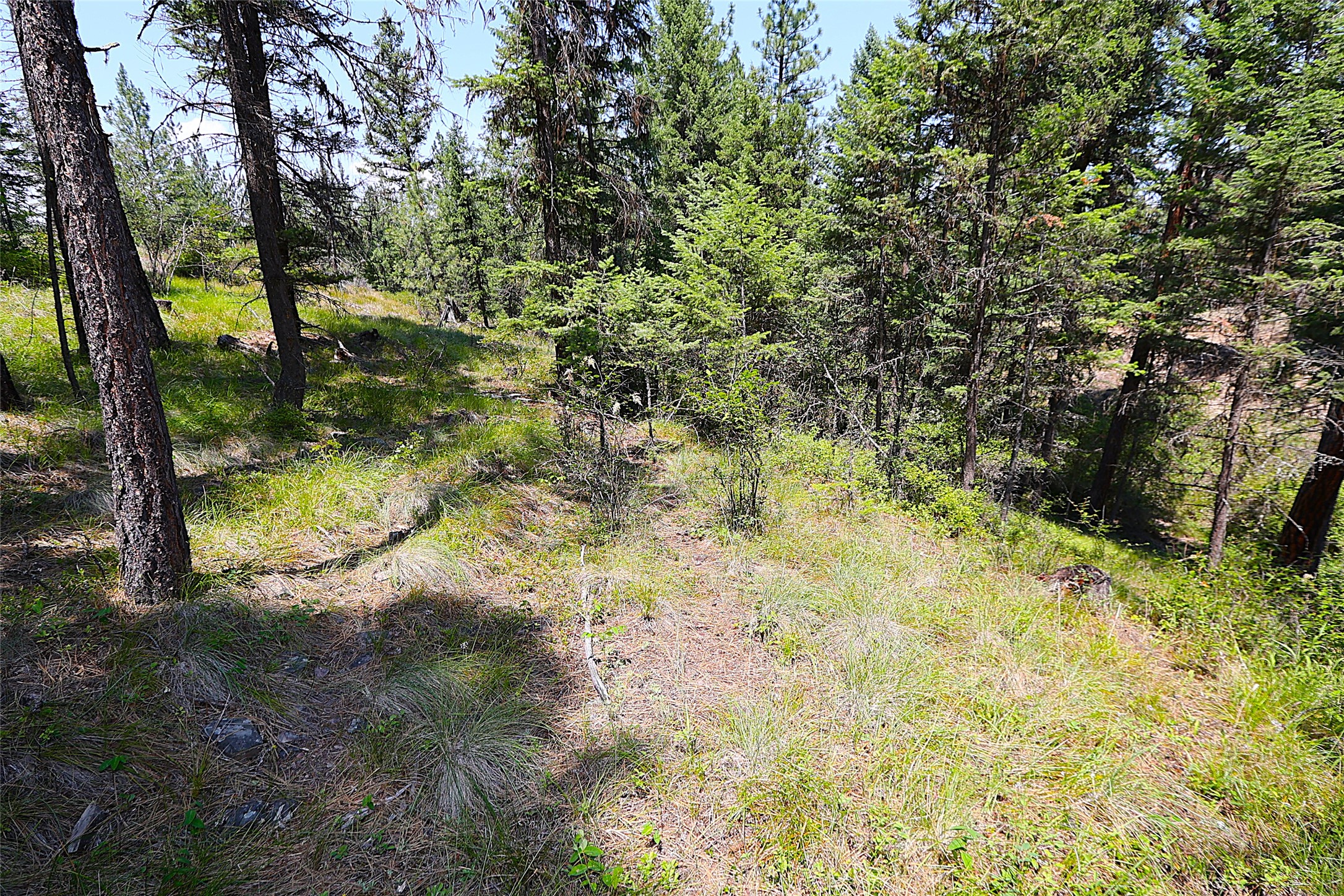 Nhn Heir Loom Way Property Photo 45