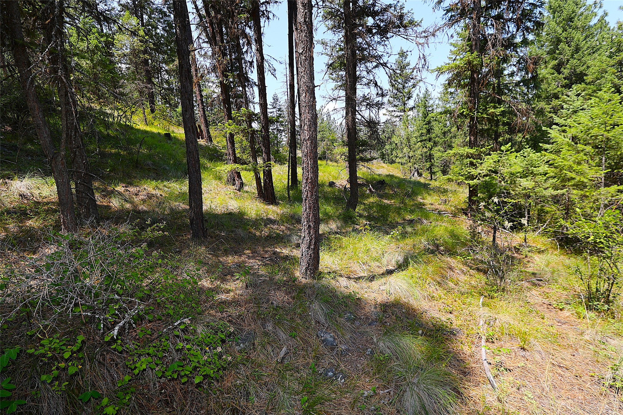 Nhn Heir Loom Way Property Photo 46