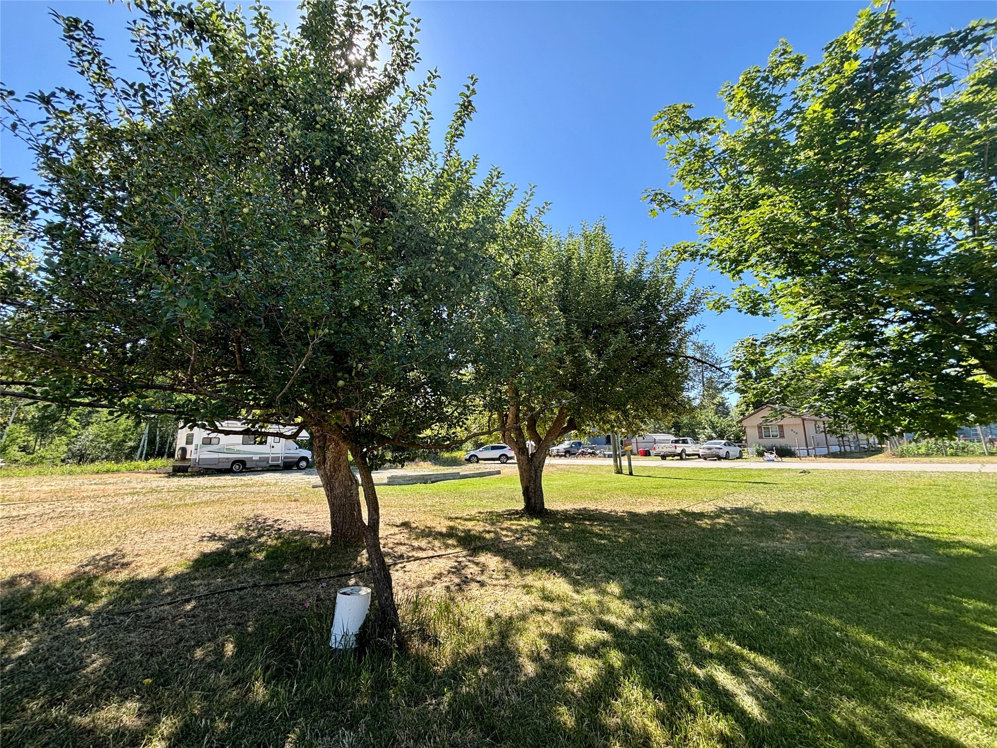 208 Waldo Street Property Photo 5