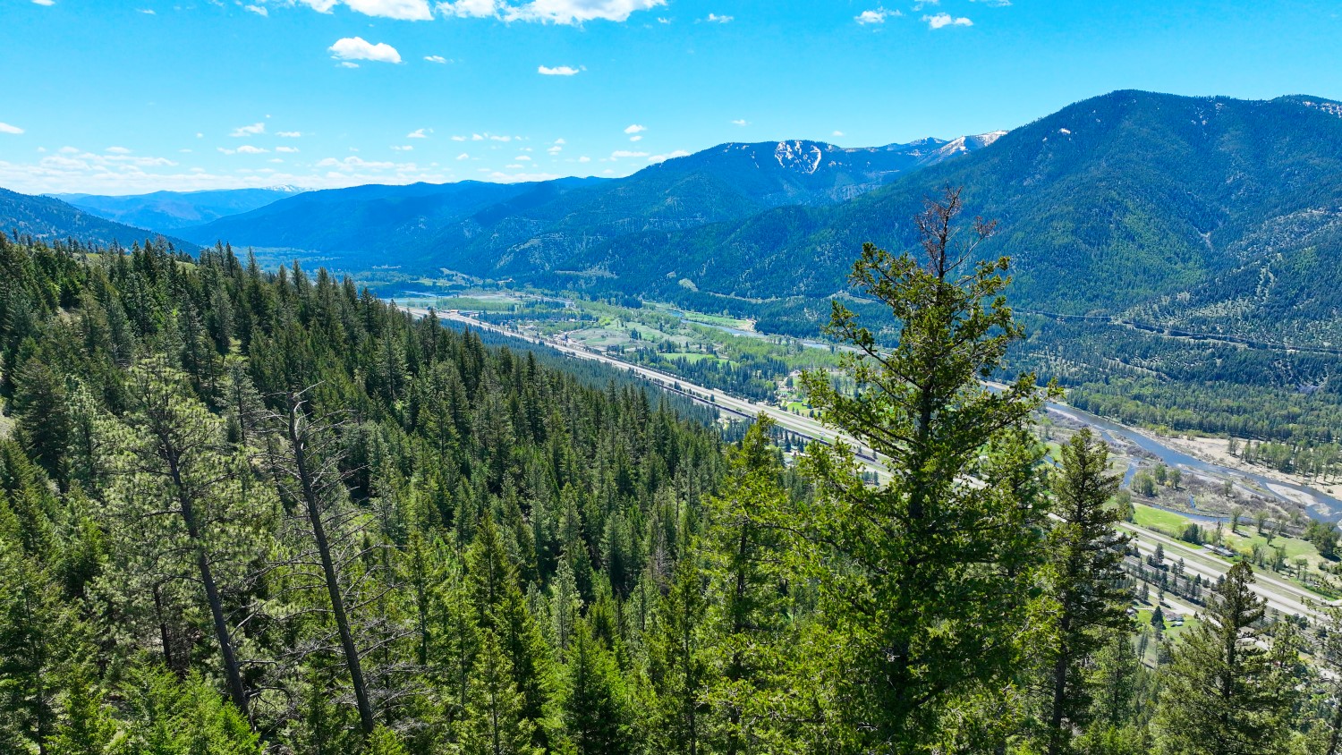 Nhn Bonner 242 Property Photo 3