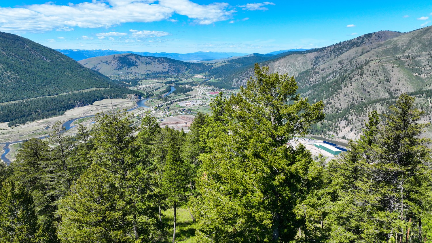 Nhn Bonner 242 Property Photo 6