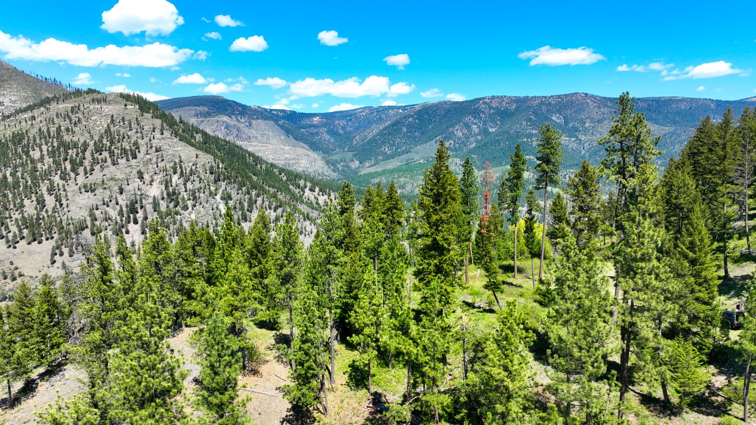 Nhn Bonner 242 Property Photo 13