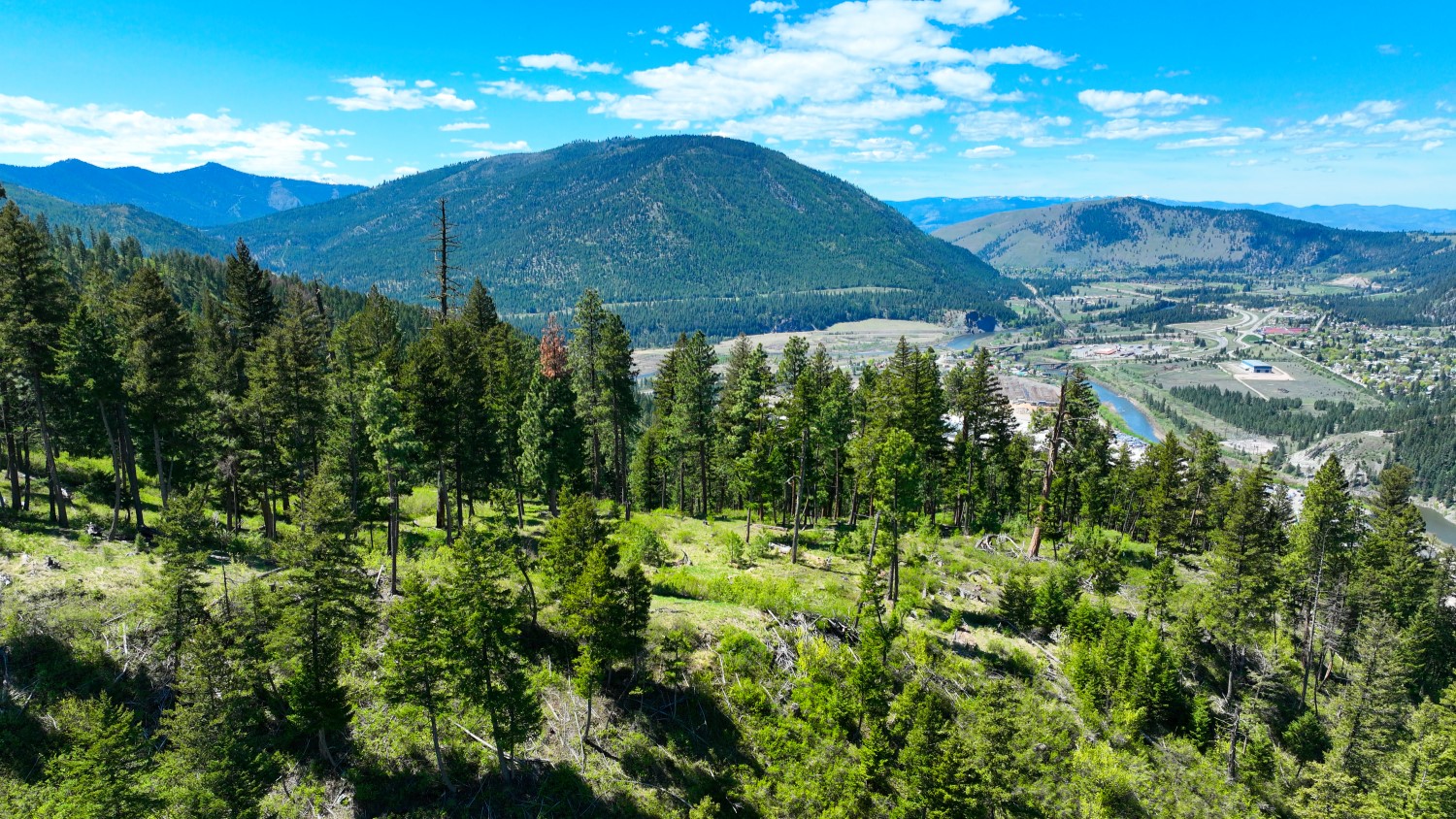 Nhn Bonner 242 Property Photo 15