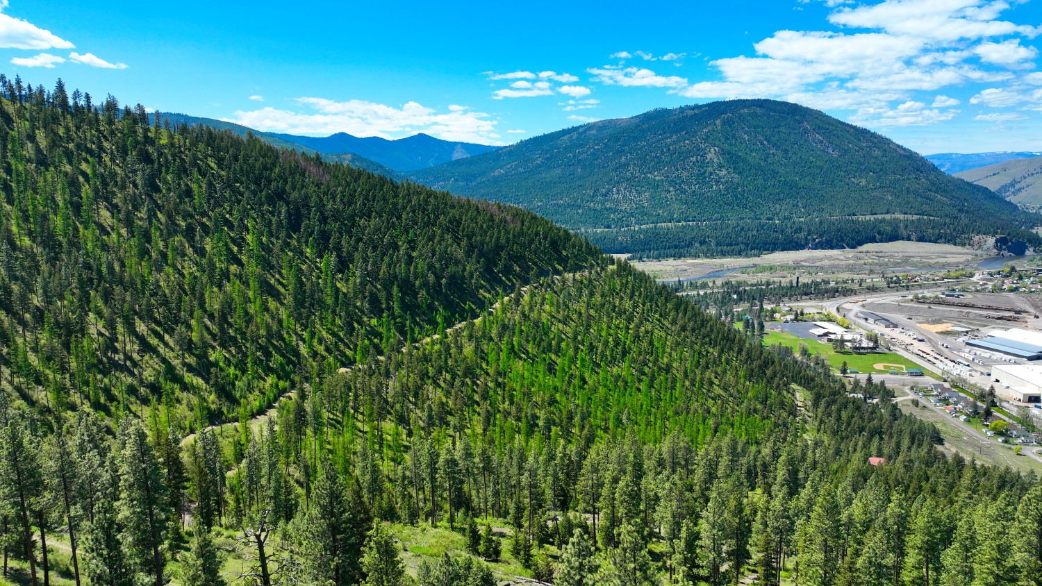 Nhn Bonner 242 Property Photo 16