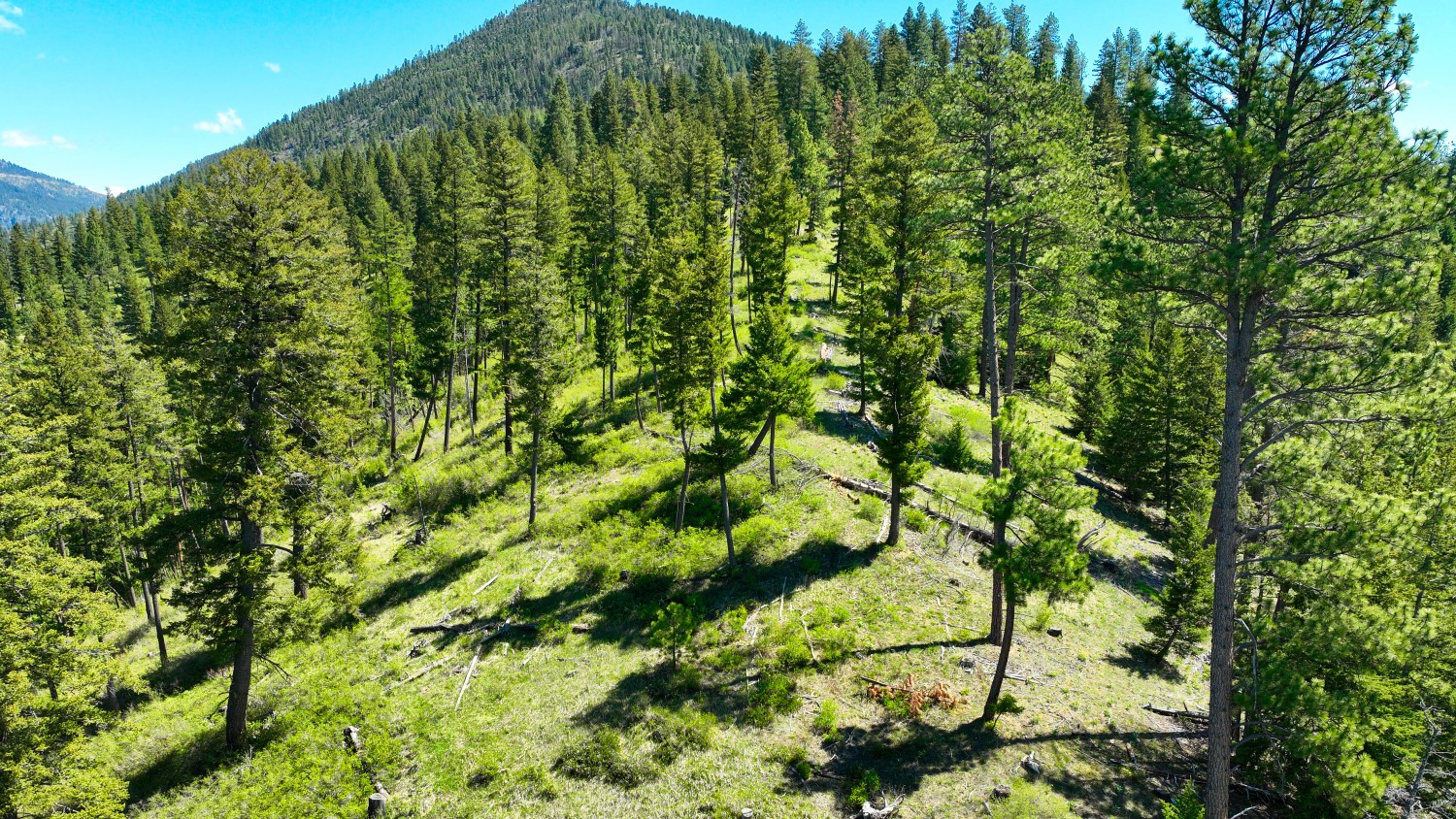 Nhn Bonner 242 Property Photo 18