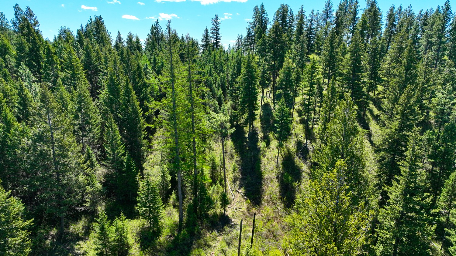 Nhn Bonner 242 Property Photo 20