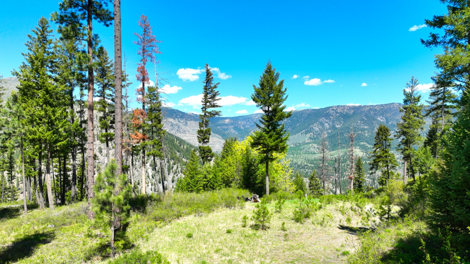 Nhn Bonner 242 Property Photo 22