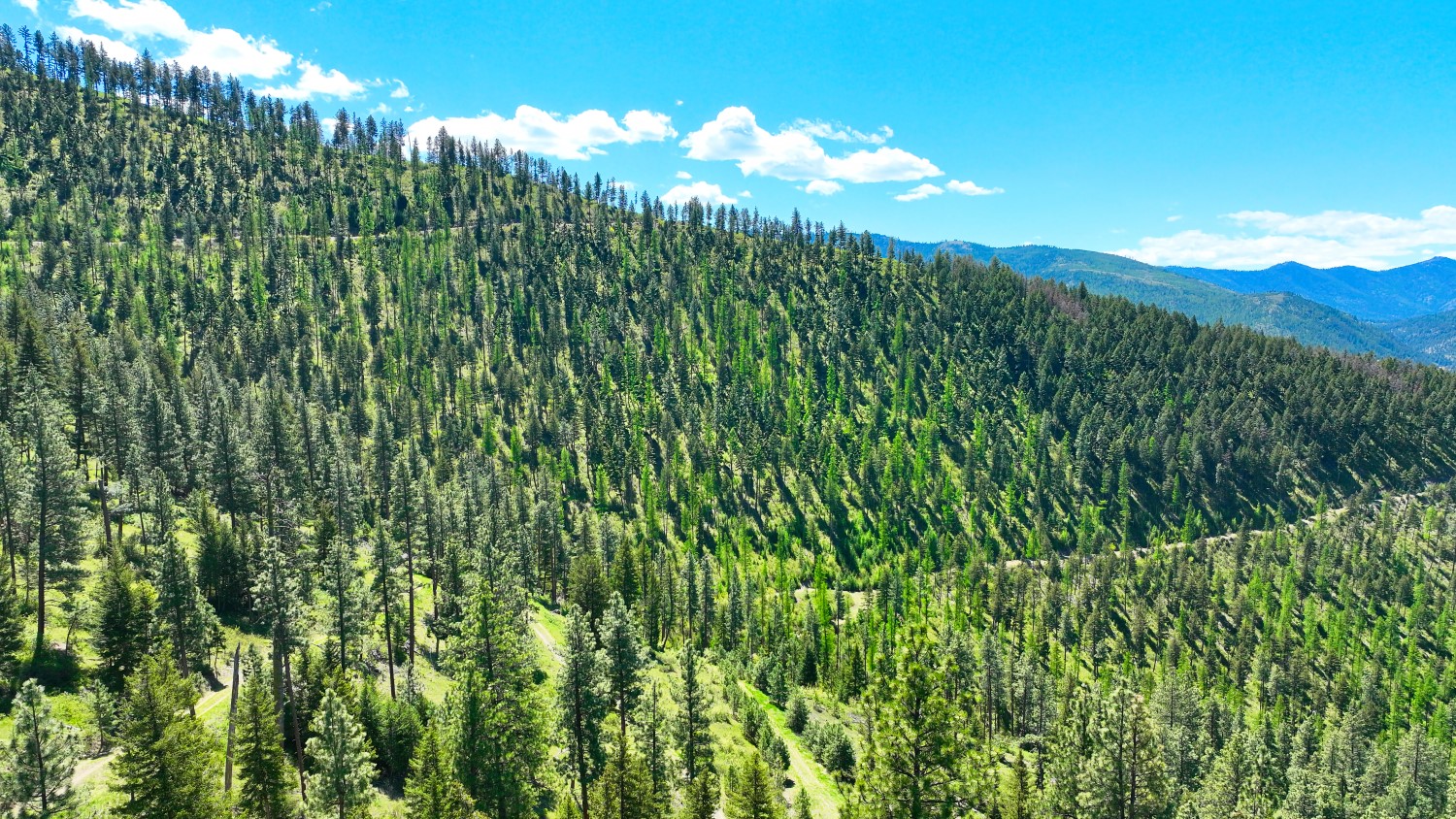 Nhn Bonner 242 Property Photo 25