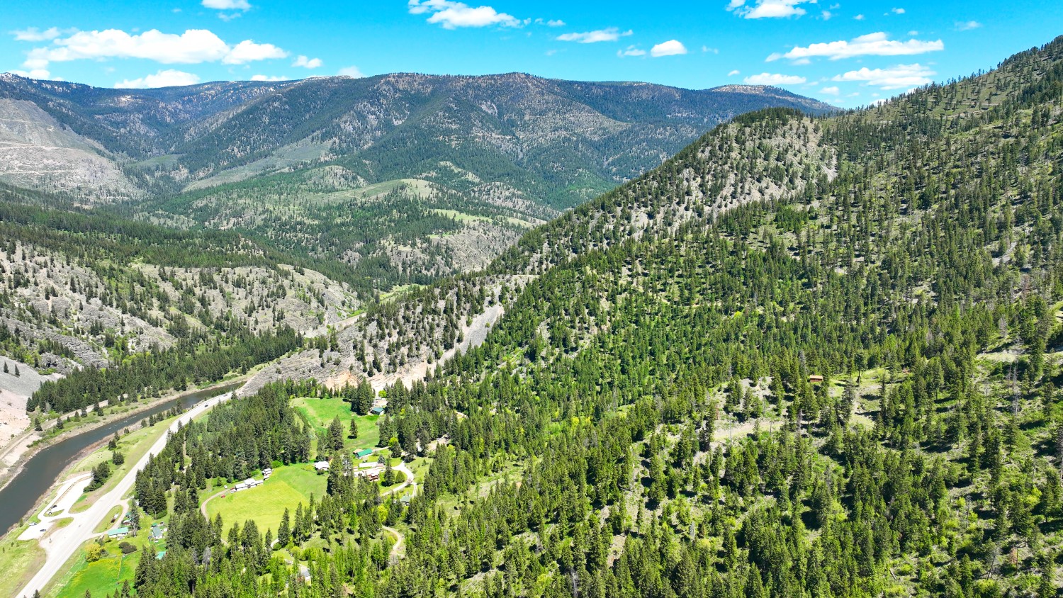 Nhn Bonner 242 Property Photo 38