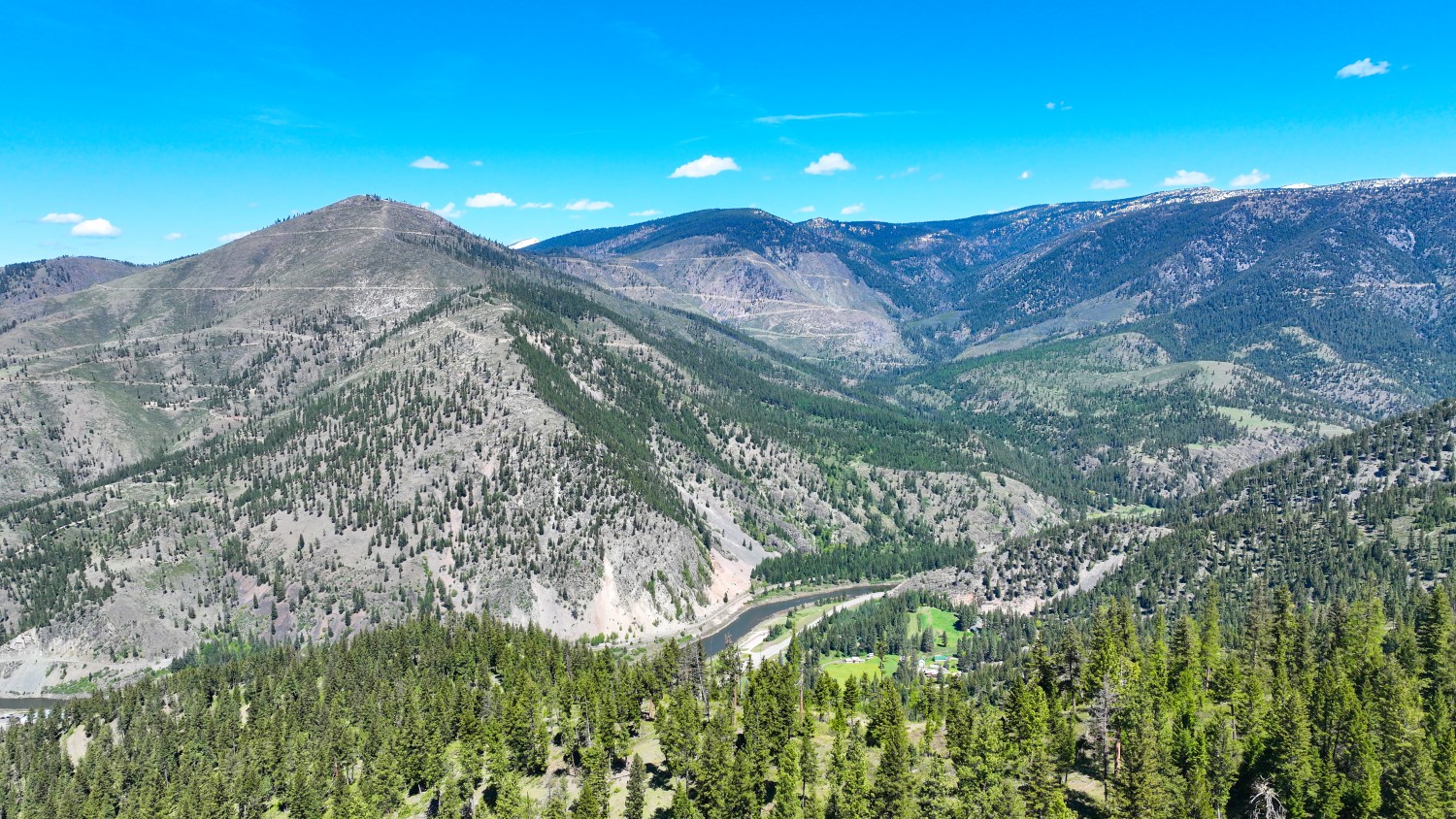 Nhn Bonner 242 Property Photo 40