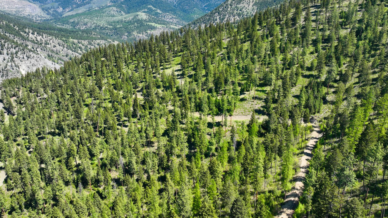 Nhn Bonner 242 Property Photo 41