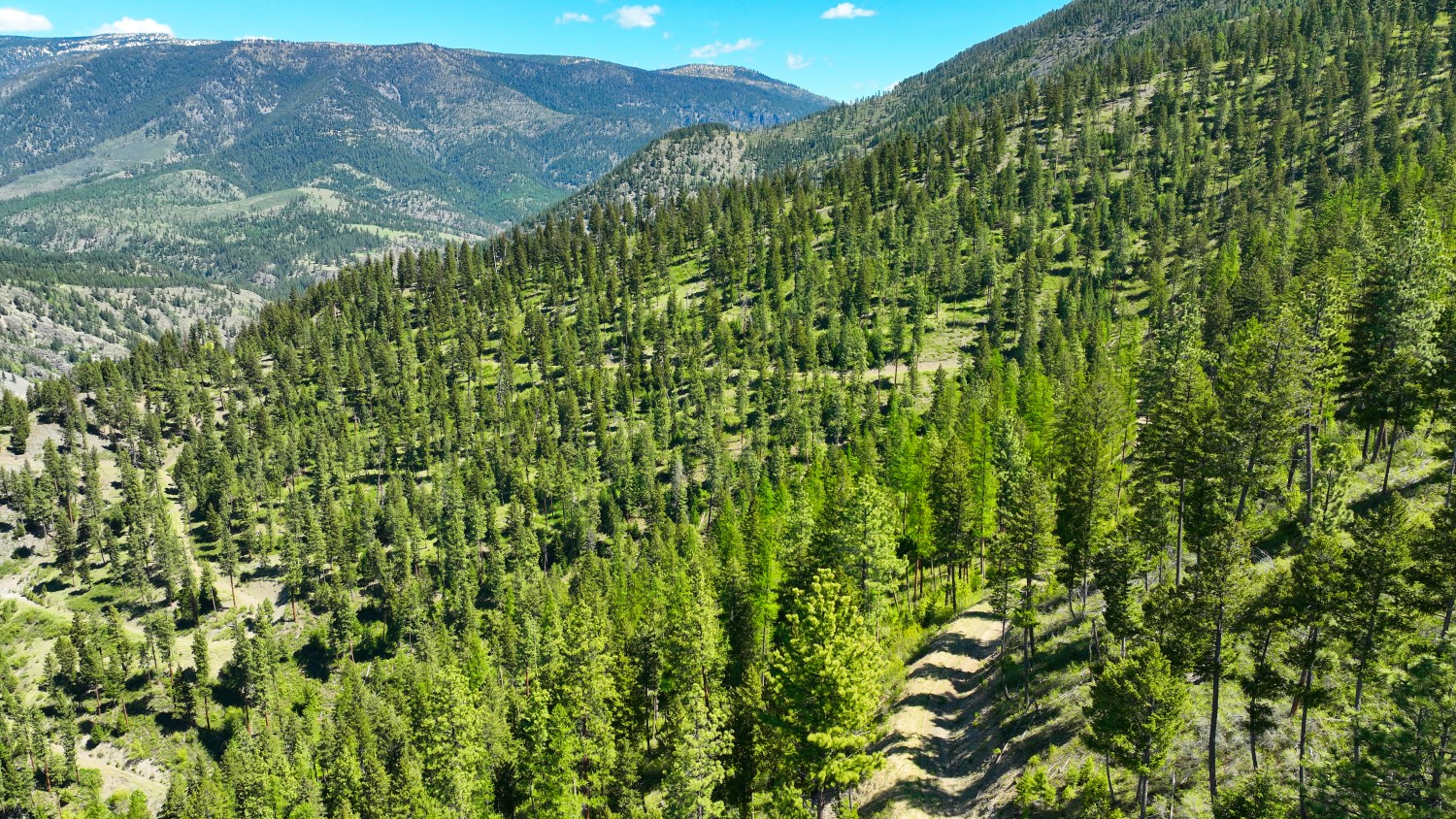 Nhn Bonner 242 Property Photo 42